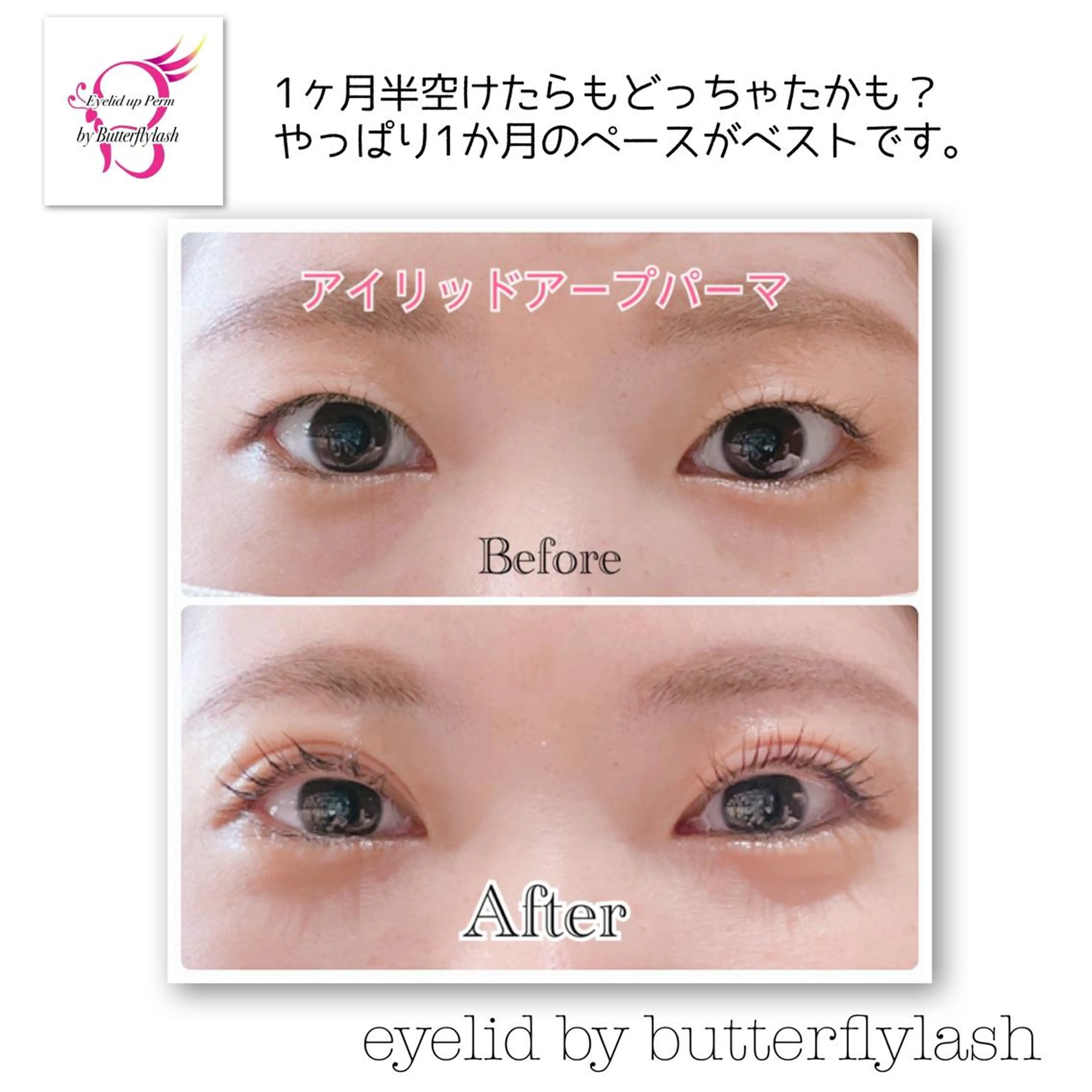 マツエク・マツパ アイリッドアップパーマ マツエク&まつ毛カールサロン　バタフライ・ラッシュ所属・下がりまつ毛たるみ 専門サロン妙蓮寺駅のマツエク・マツパデザイン
