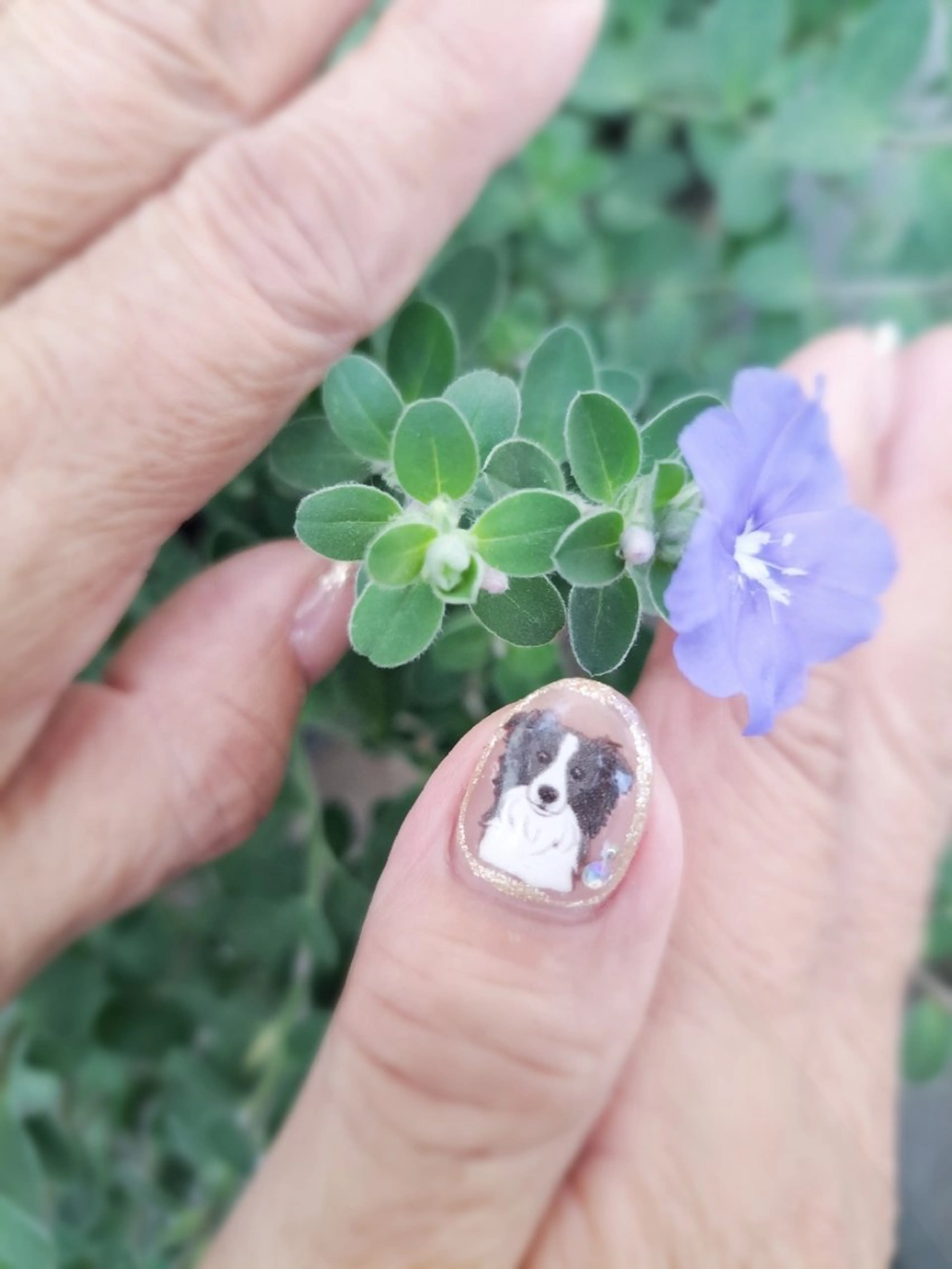 ネイル Franda ✾のネイルデザイン