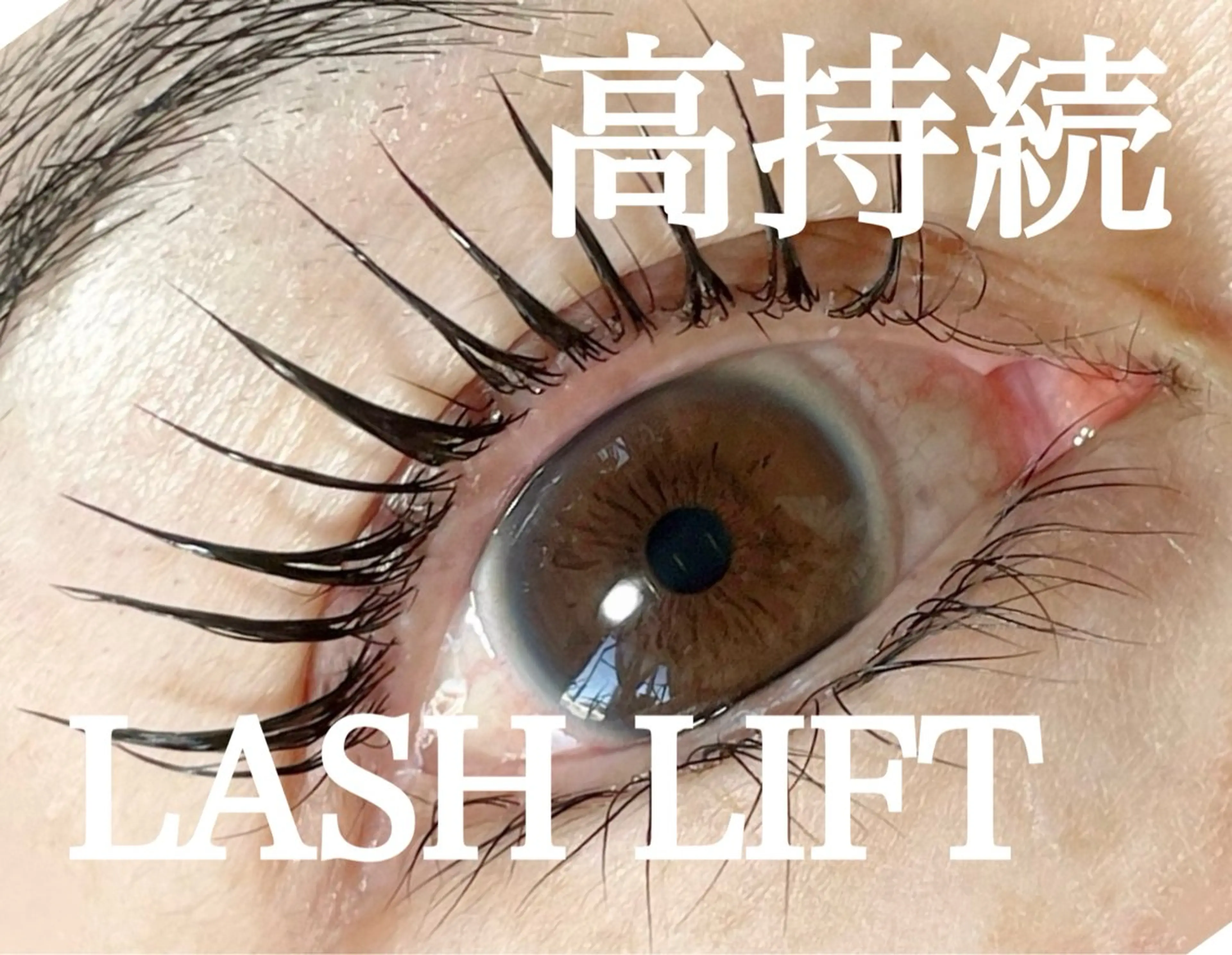 ご新規様　高持続まつげパーマ上のみ¥7700→¥6600の写真