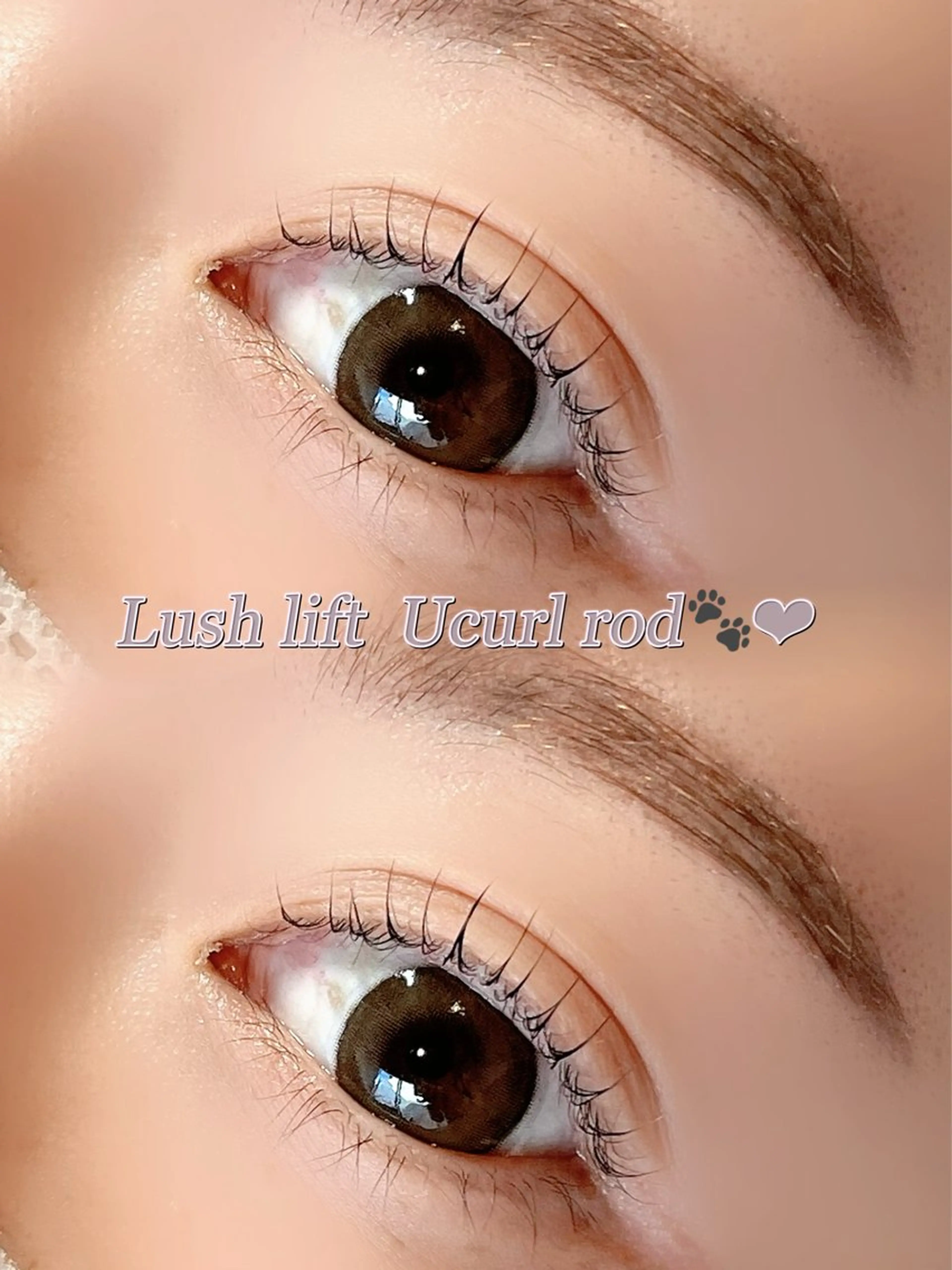 【平日限定】🦢ラッシュリフト（コーティング・アイシャンプー付き）🦢の写真