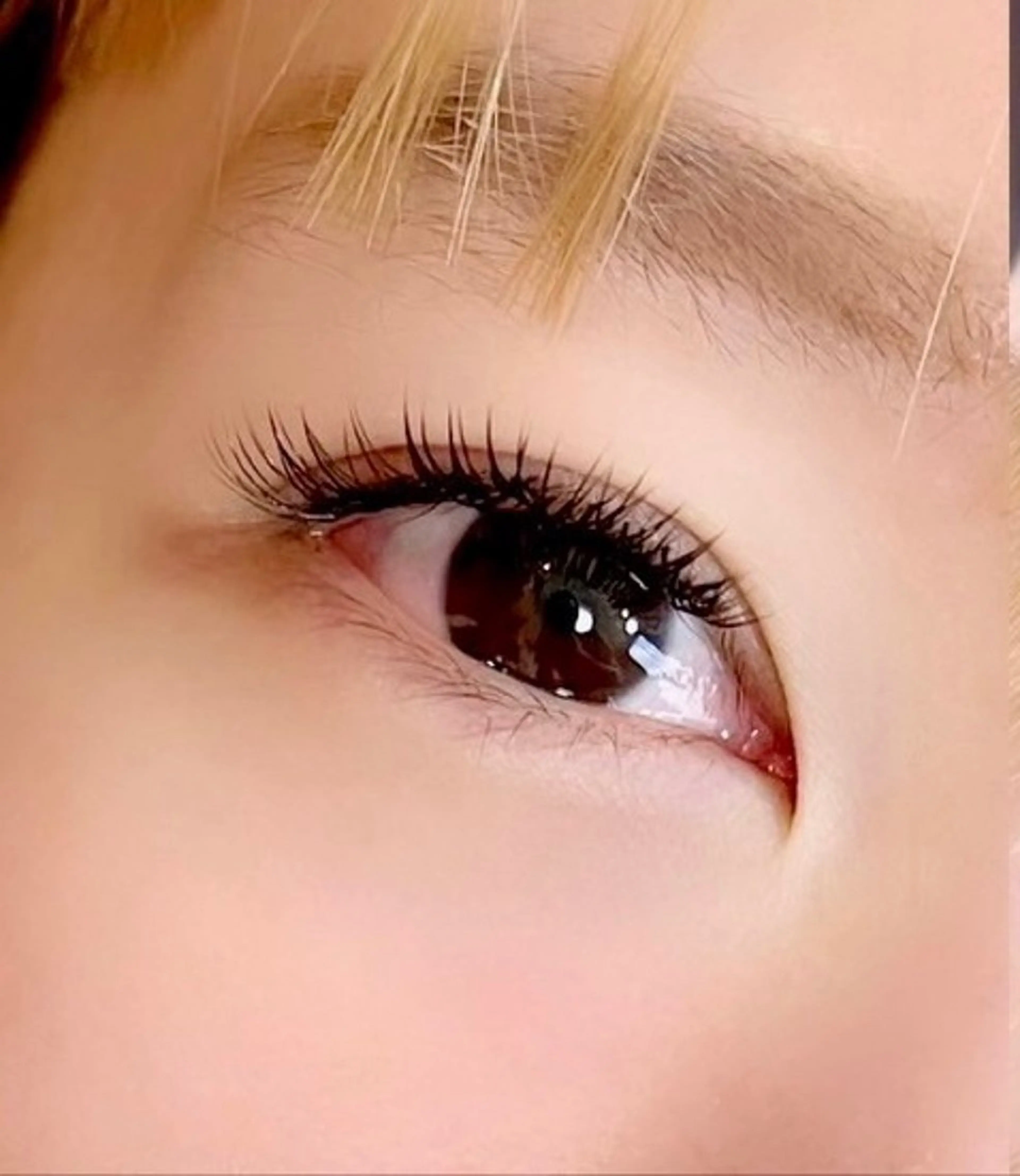 デザインキープラッシュ両目240本(シングル120本相当)の写真