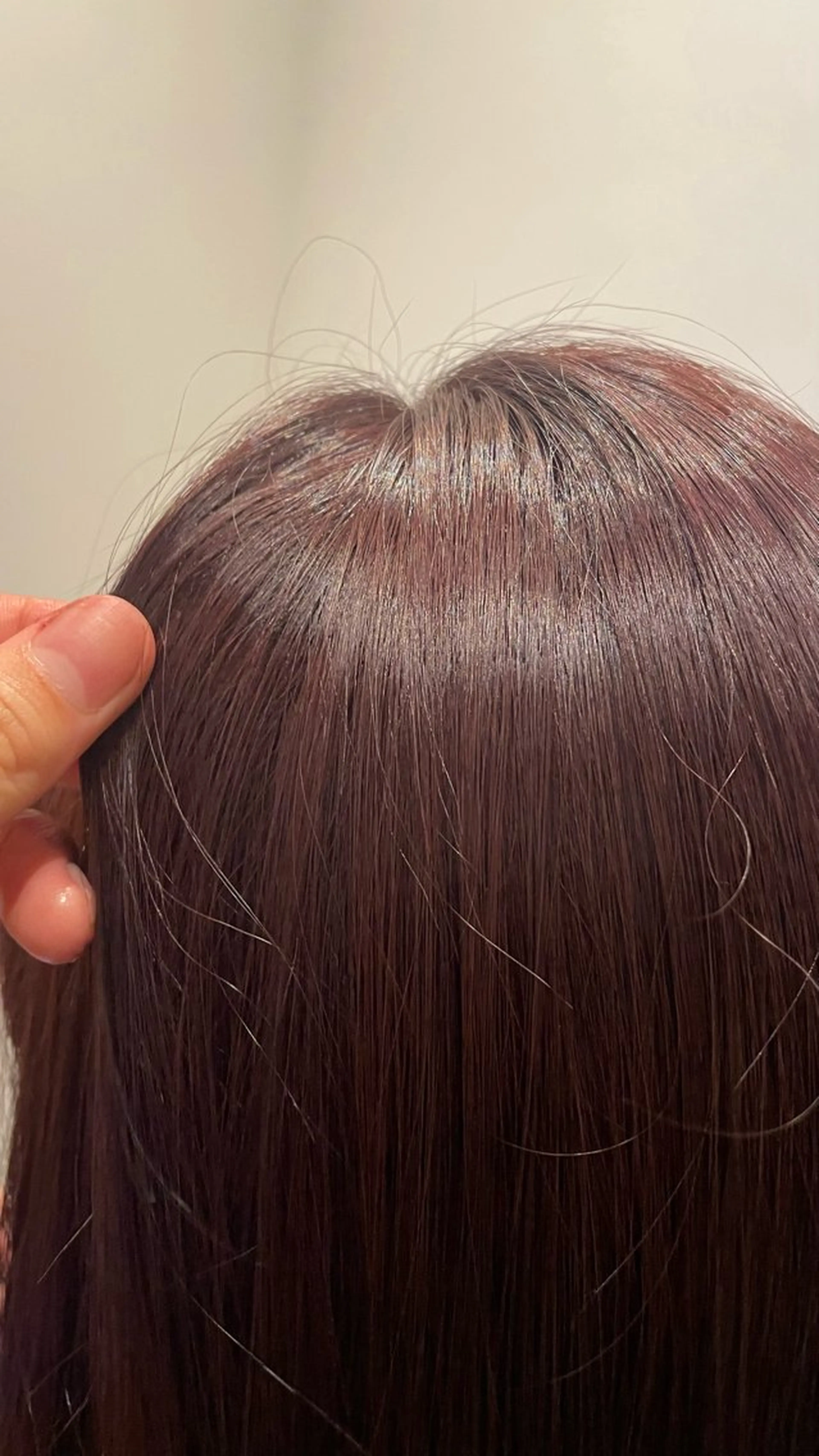 カラー ブラウンカラー ピンクカラー メンズパーマ✨️/ 縮毛カラー🫧あきはのヘアスタイル