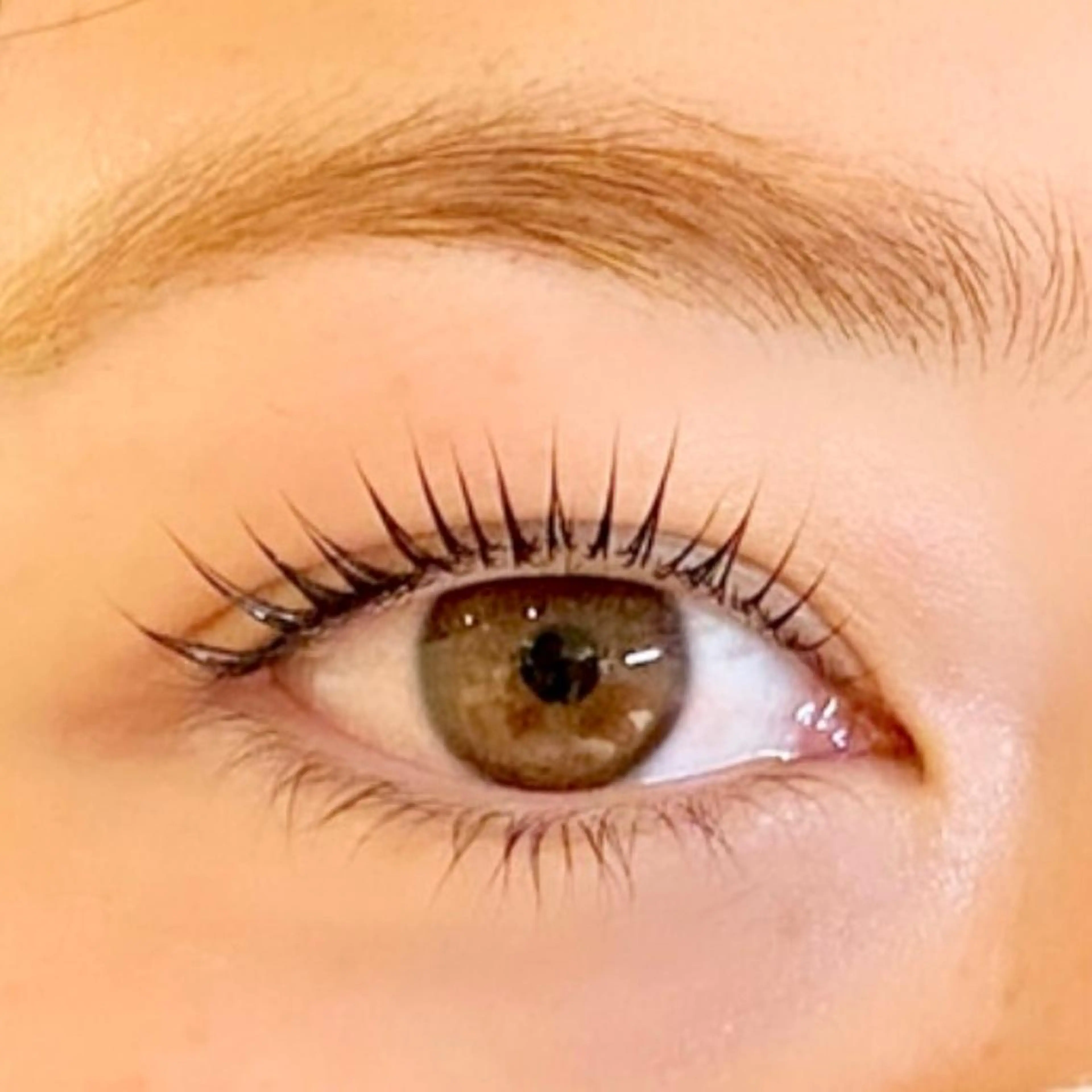 🌷まつ毛パーマ🌷上のみ✨目元に合わせてデザイン自由自在！ダメージレスで定期的に続けられる◎アイシャンプー付き🫧の写真