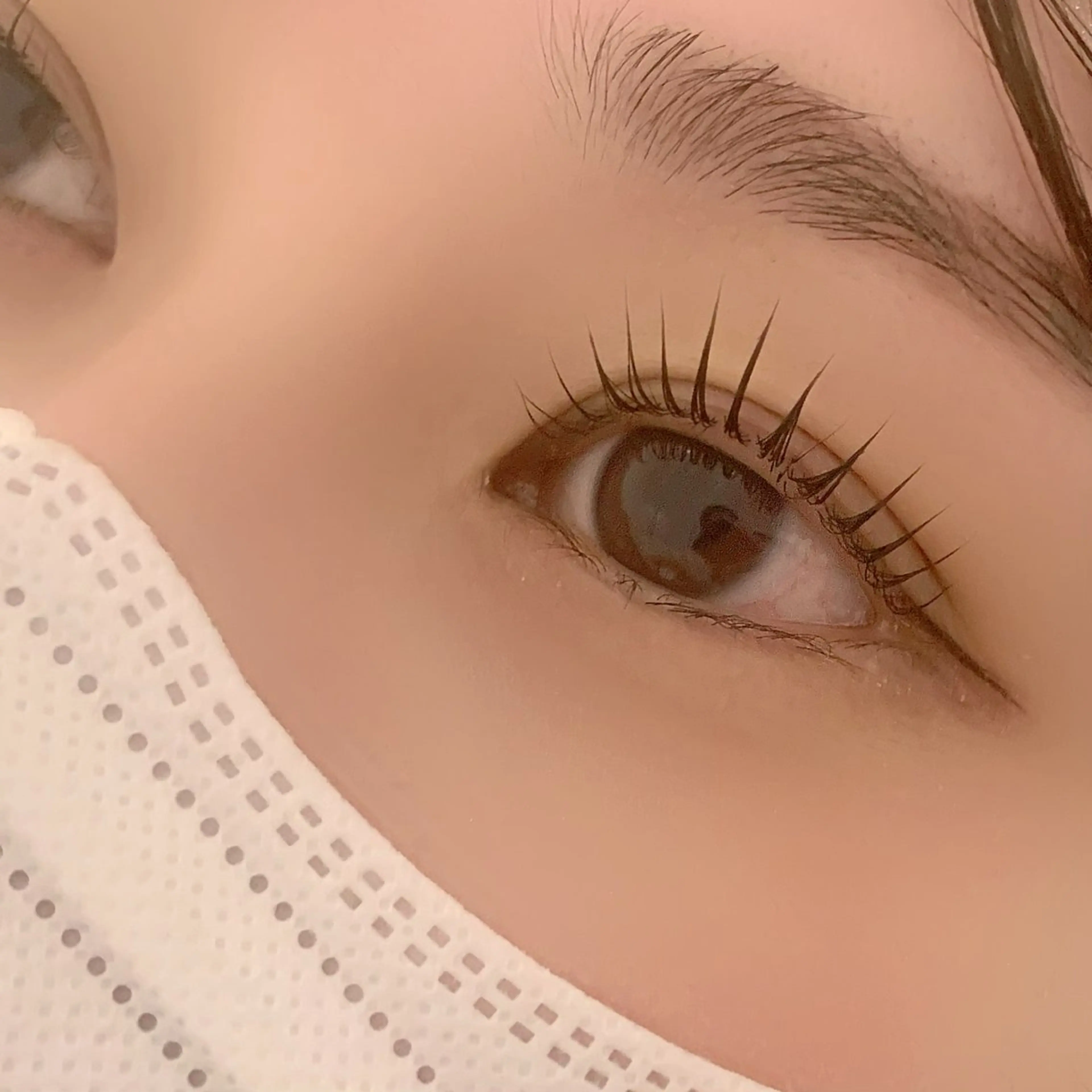 マツエク・マツパ 一重×まつ毛パーマ AYLASH石川 韓国風/カラエクのマツエク・マツパデザイン