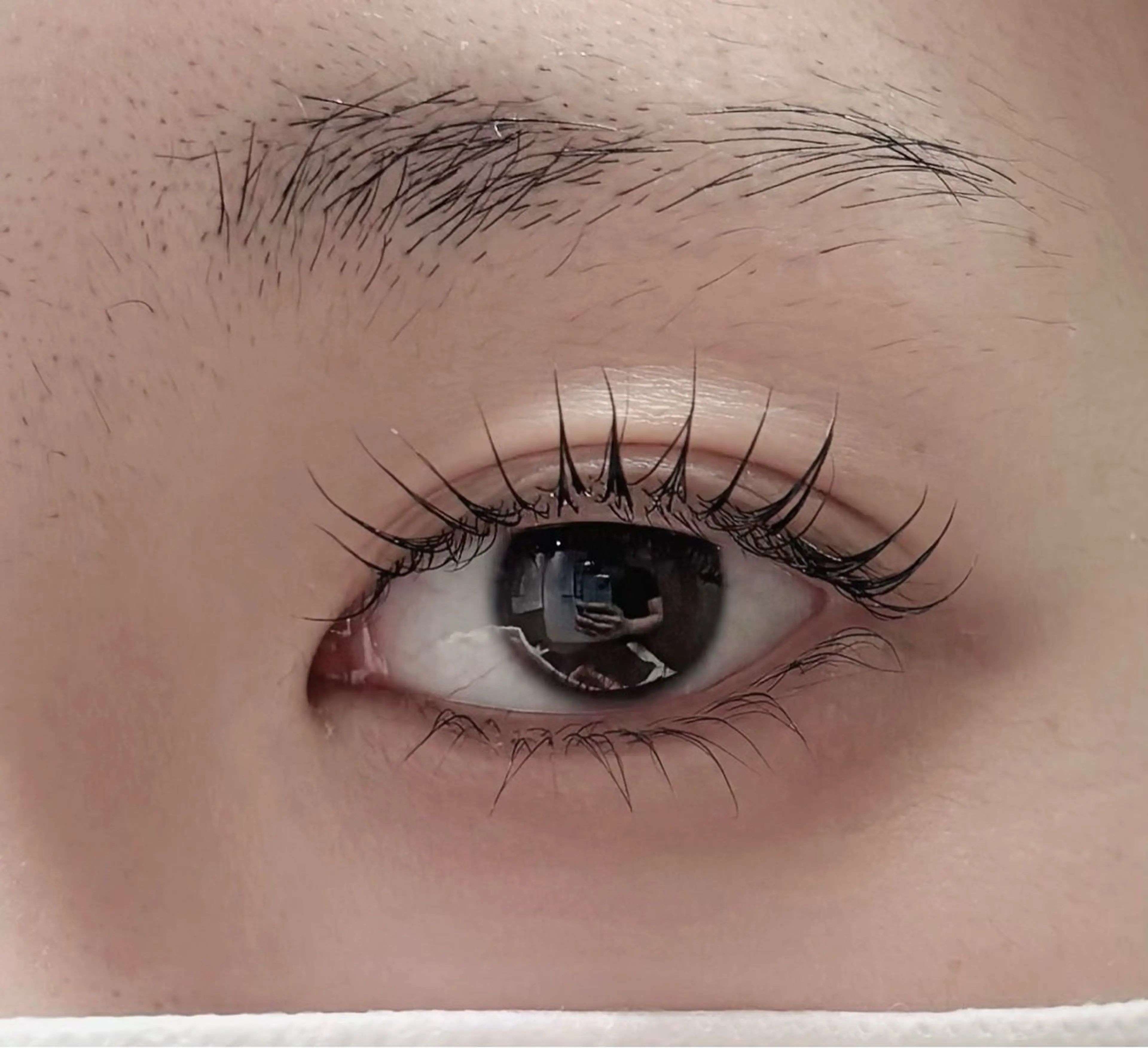 🌼パリジェンヌリフト（上下まつ毛）🌼の写真