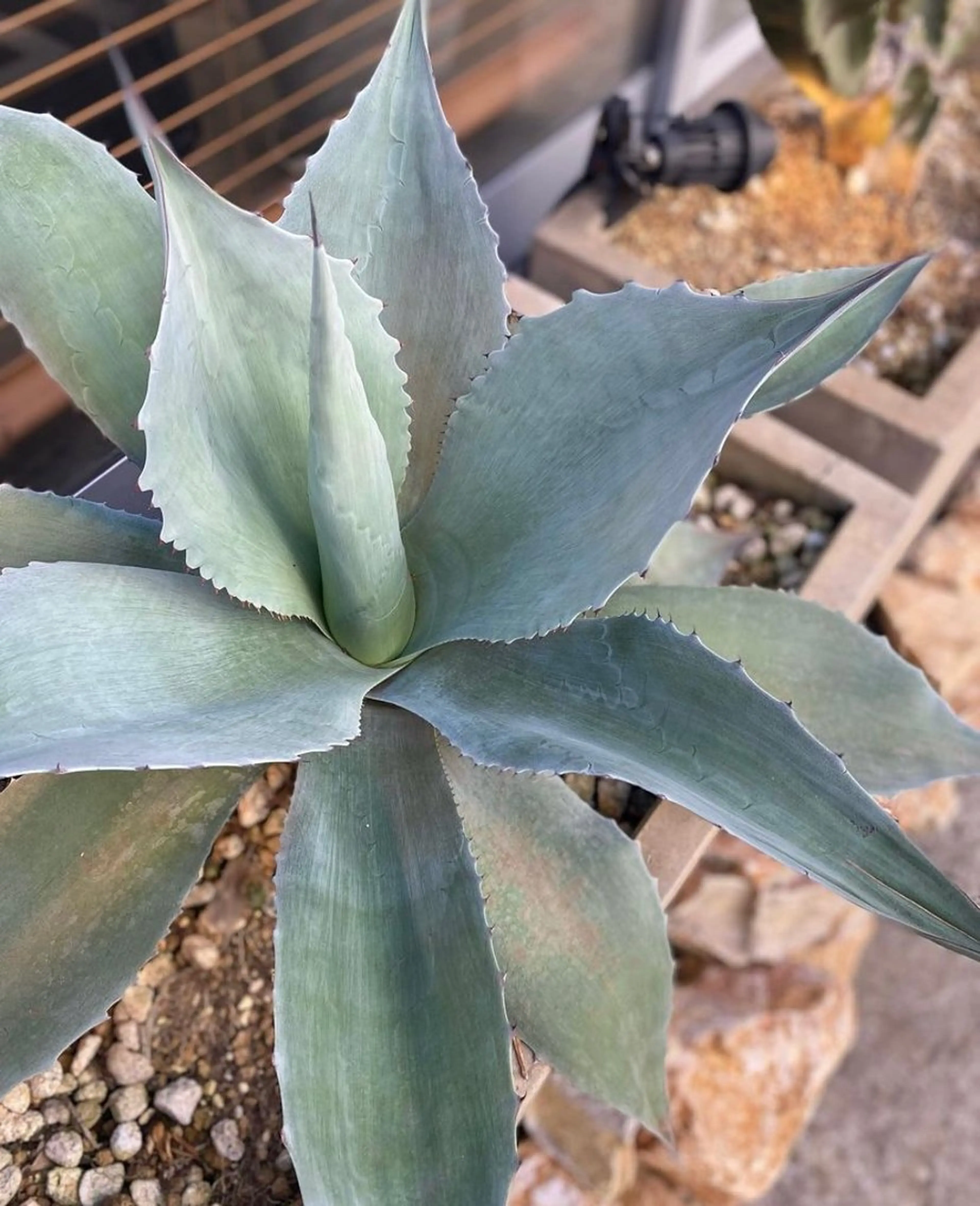 ネイル Yumi 広尾|恵比寿ネイルのネイルデザイン