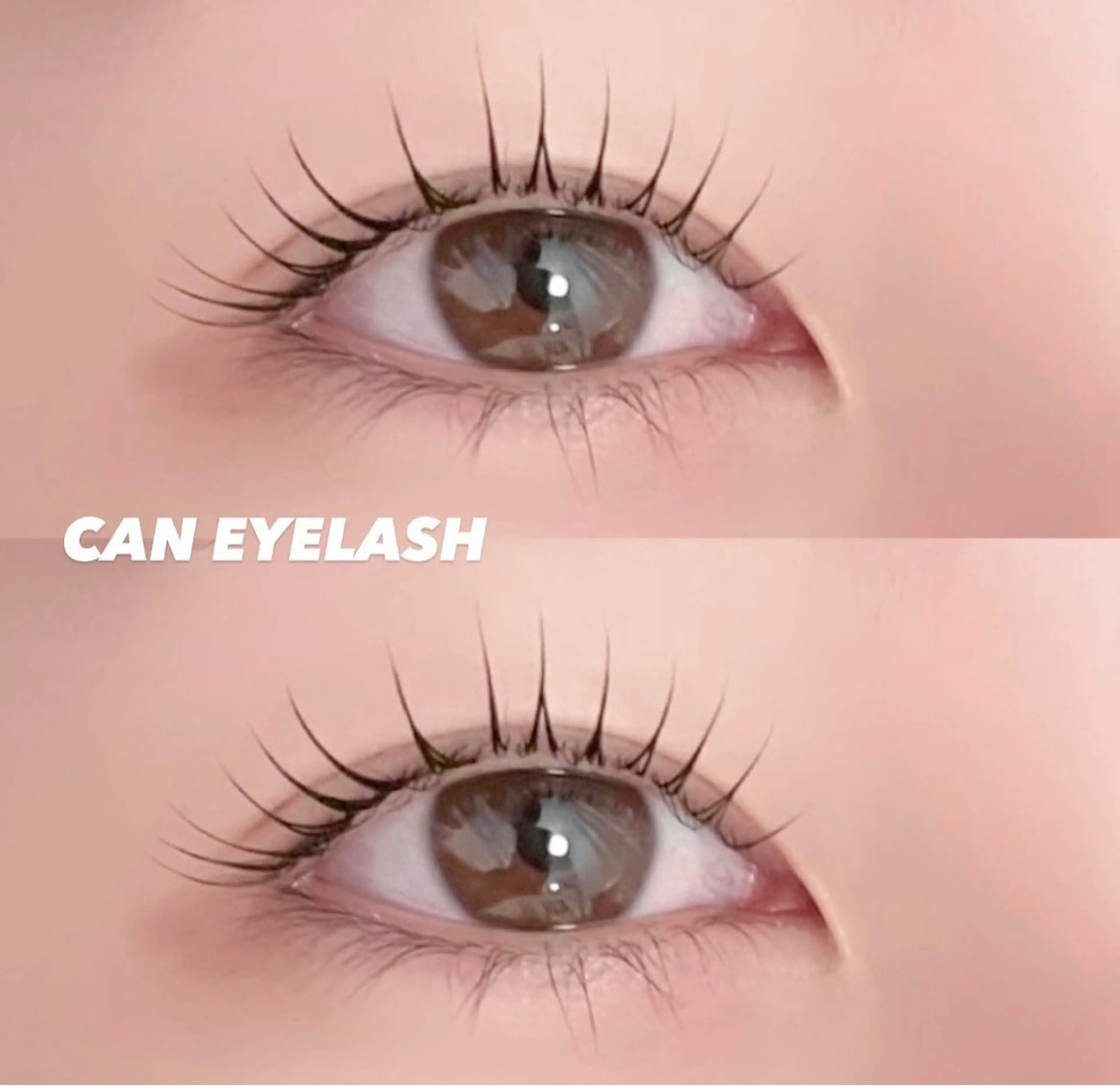 まつげパーマ(上)お仕上げコーティング付♪の写真