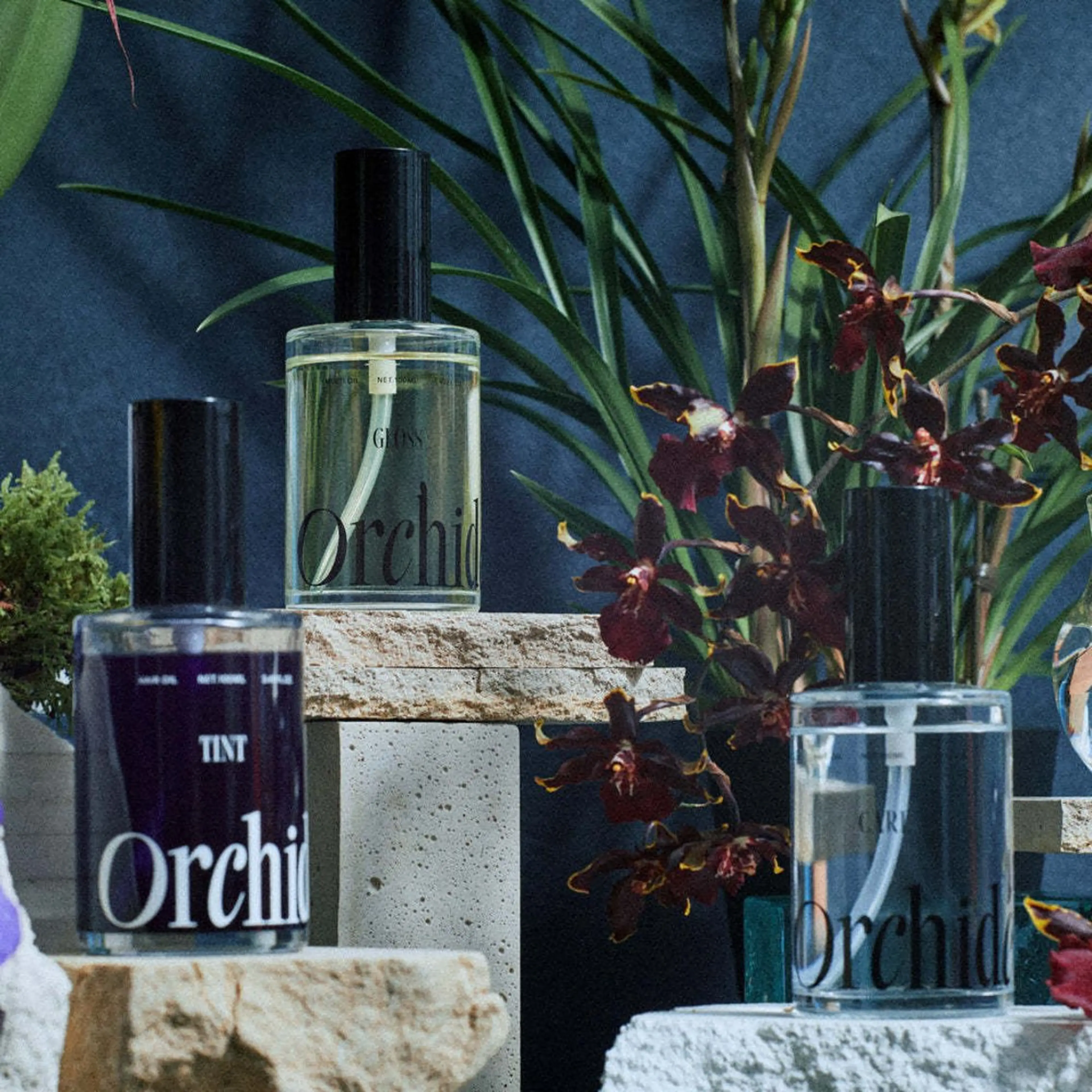 【超お得】SNSで話題沸騰中⤴︎ 3種から選べるオルキデオイル100ml付き☆カット/カラー/スチームトリートメント込の写真