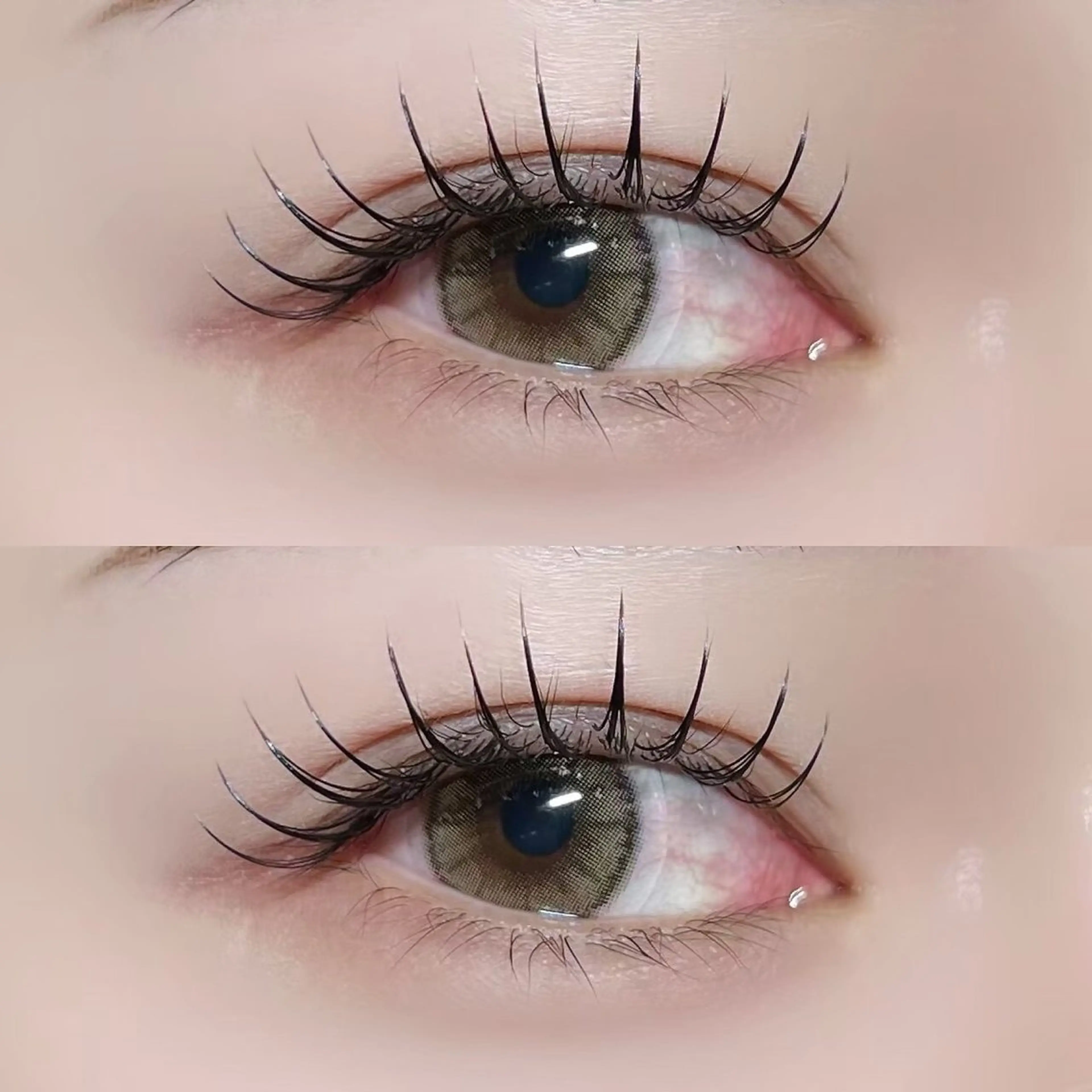 マツエク・マツパ 👑𝐊𝐢𝐧𝐠 心斎橋店🎀美麗のマツエク・マツパデザイン