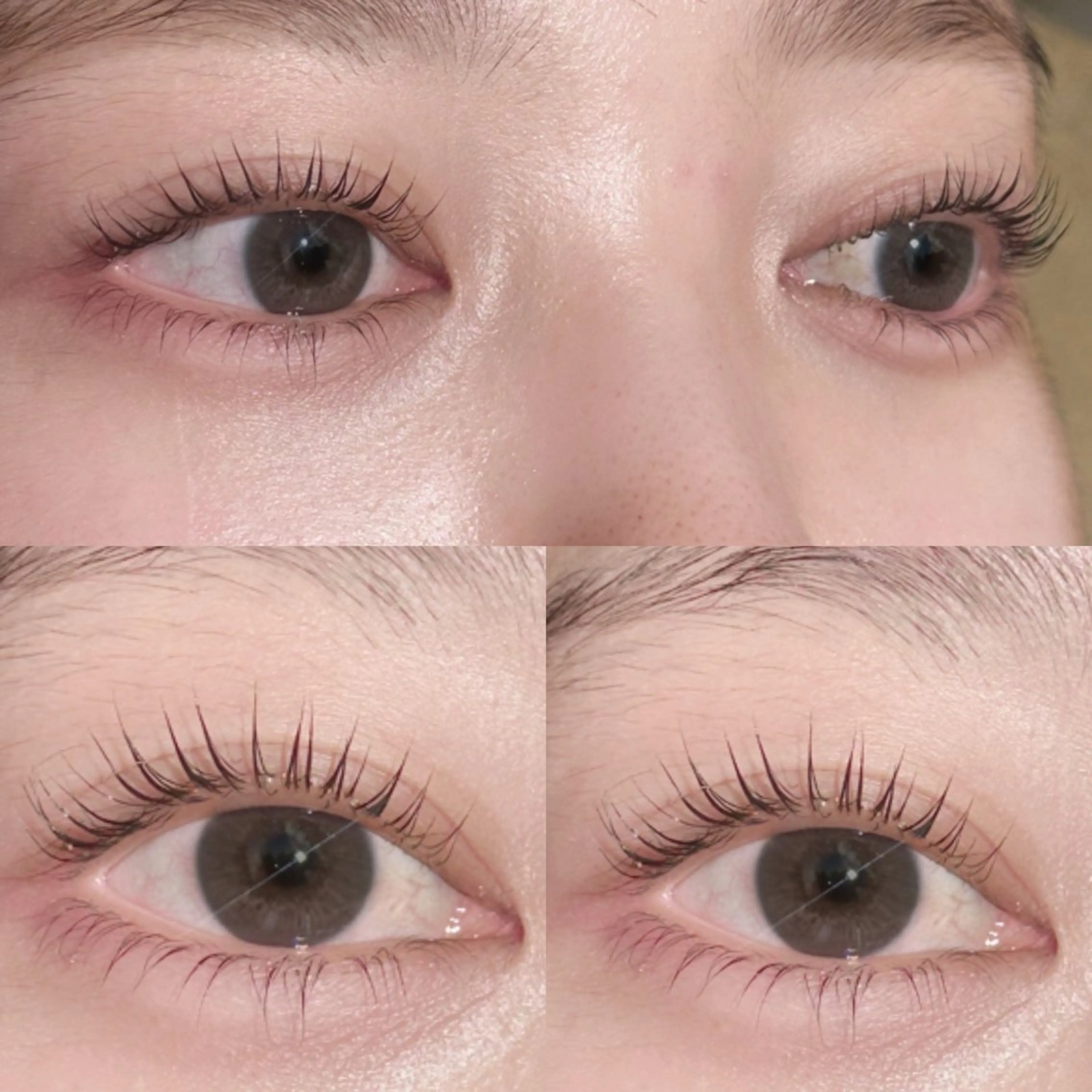 マツエク・マツパ パリジェンヌラッシュリフト マツパ lit.🤍 kiyoneのマツエク・マツパデザイン