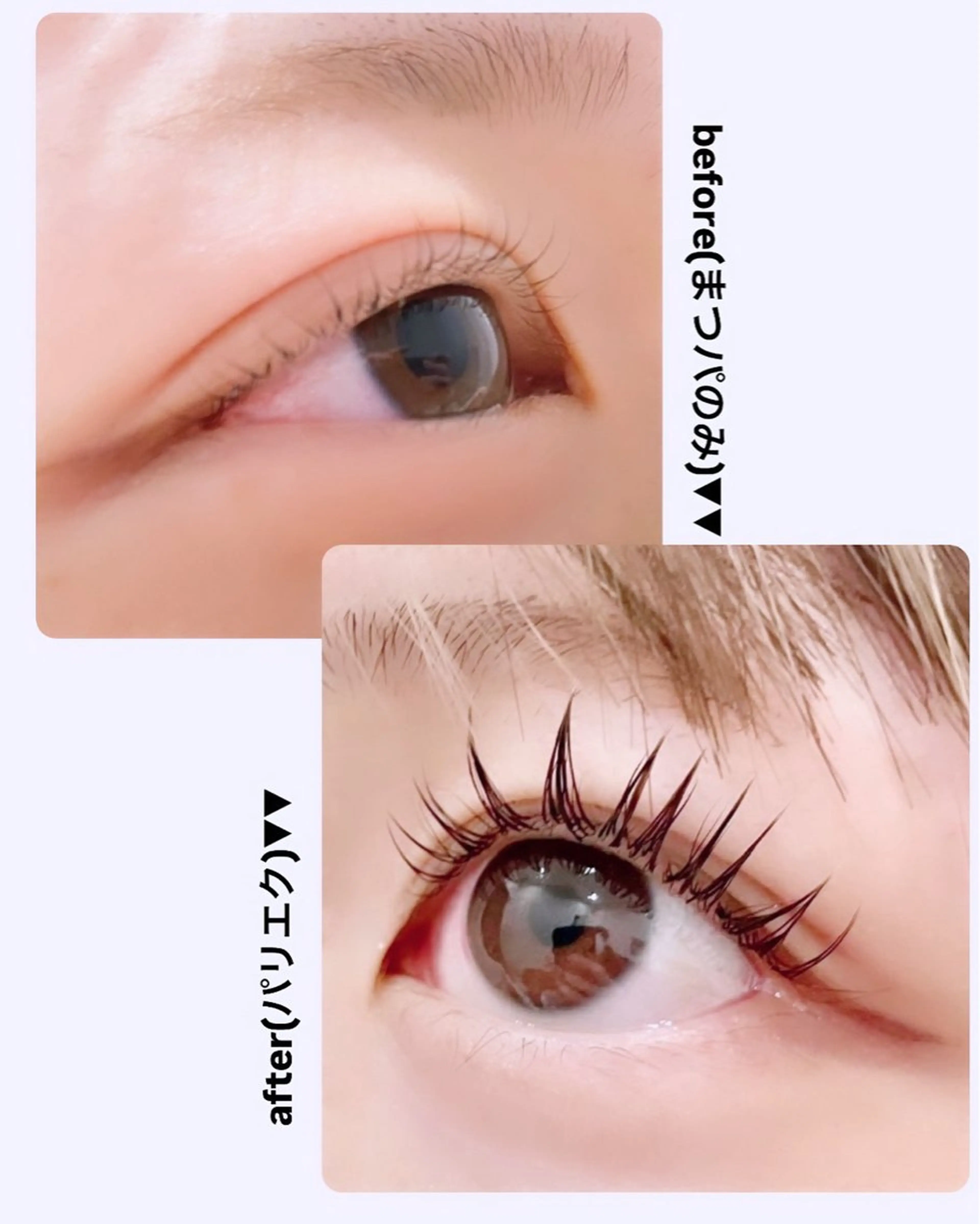 マツエク・マツパ chouchou .柏の葉🤍箭内海咲のマツエク・マツパデザイン