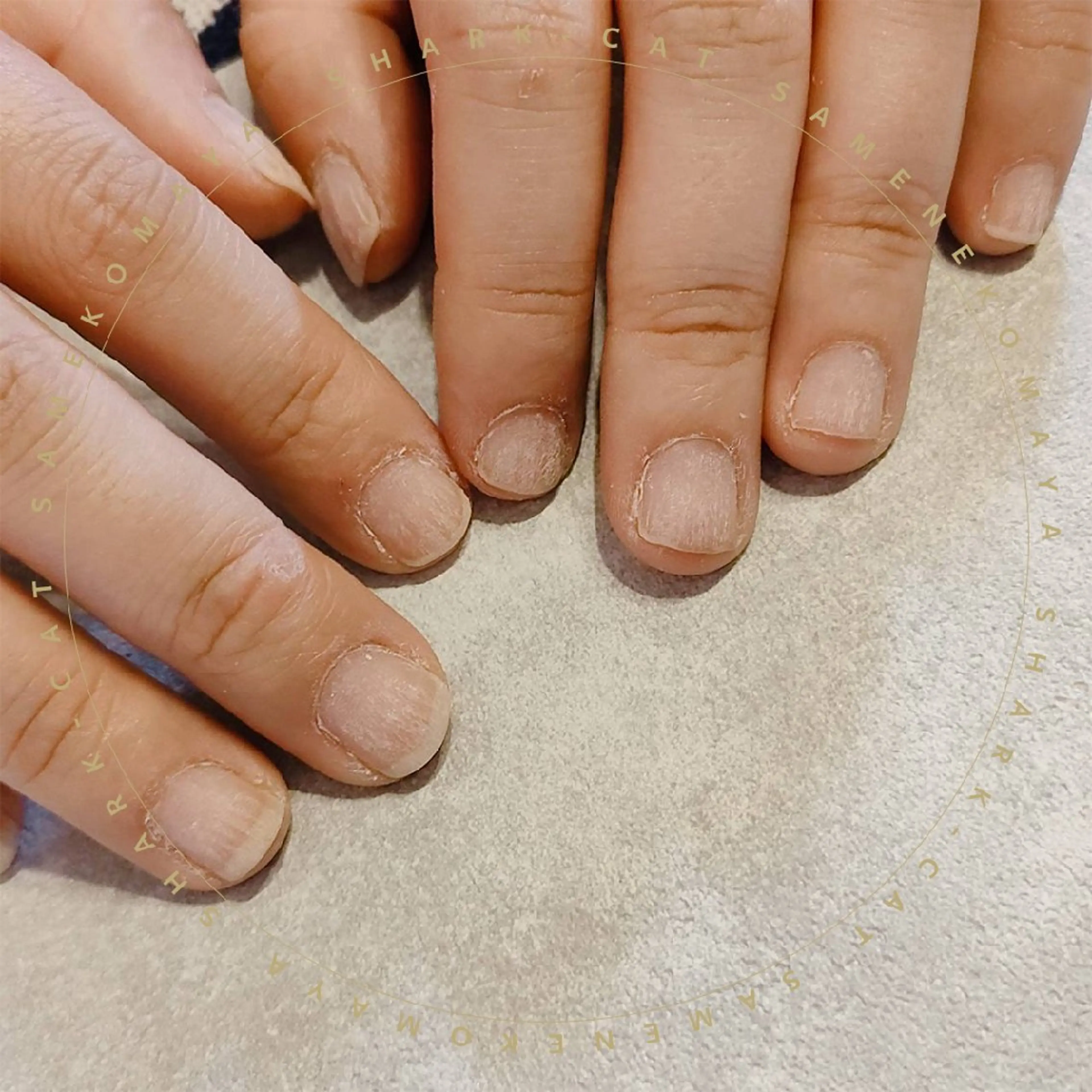 ネイル サメ猫 マーヤのネイルデザイン