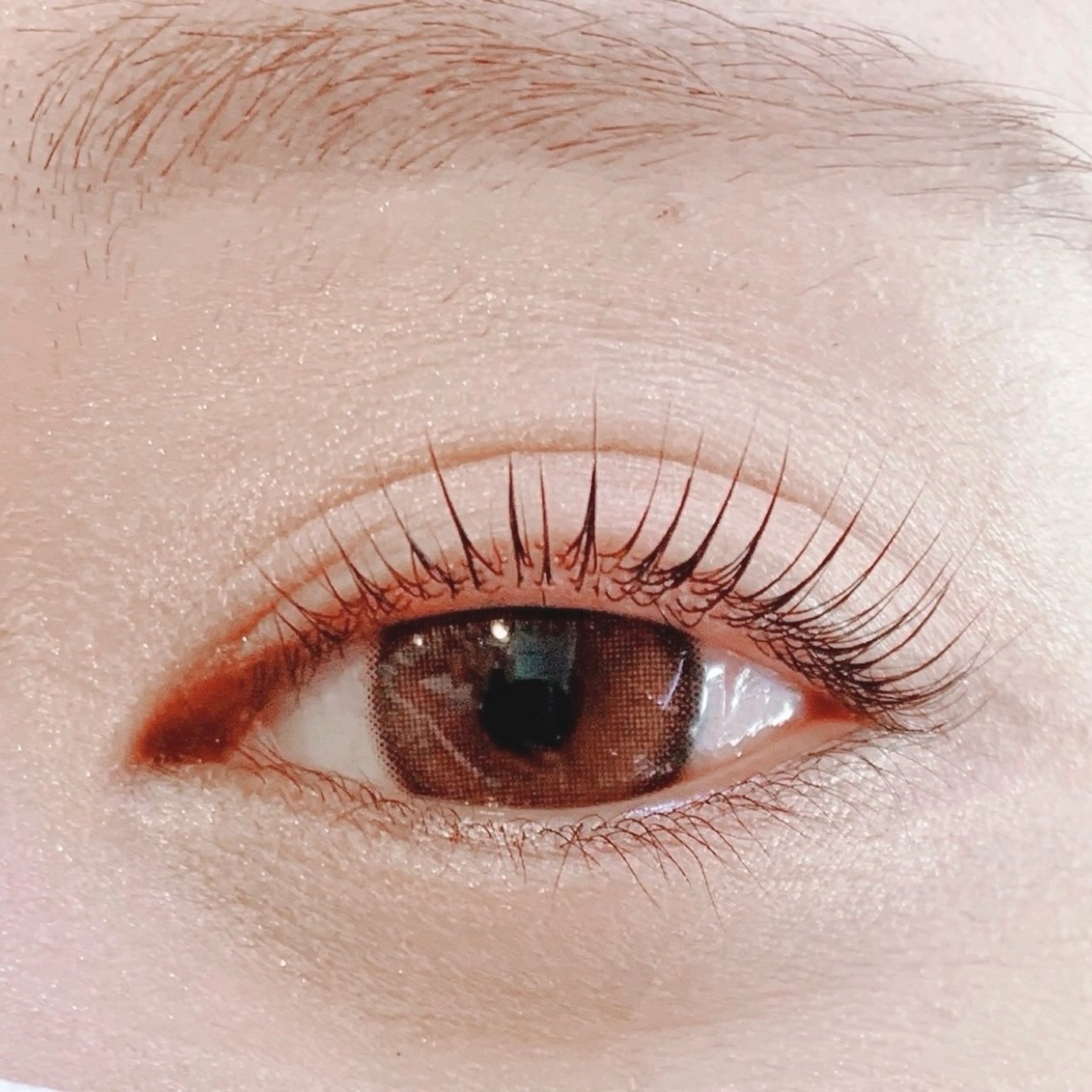 短いまつ毛でも存在感抜群★ラッシュリフト/まつげパーマ¥6980の写真