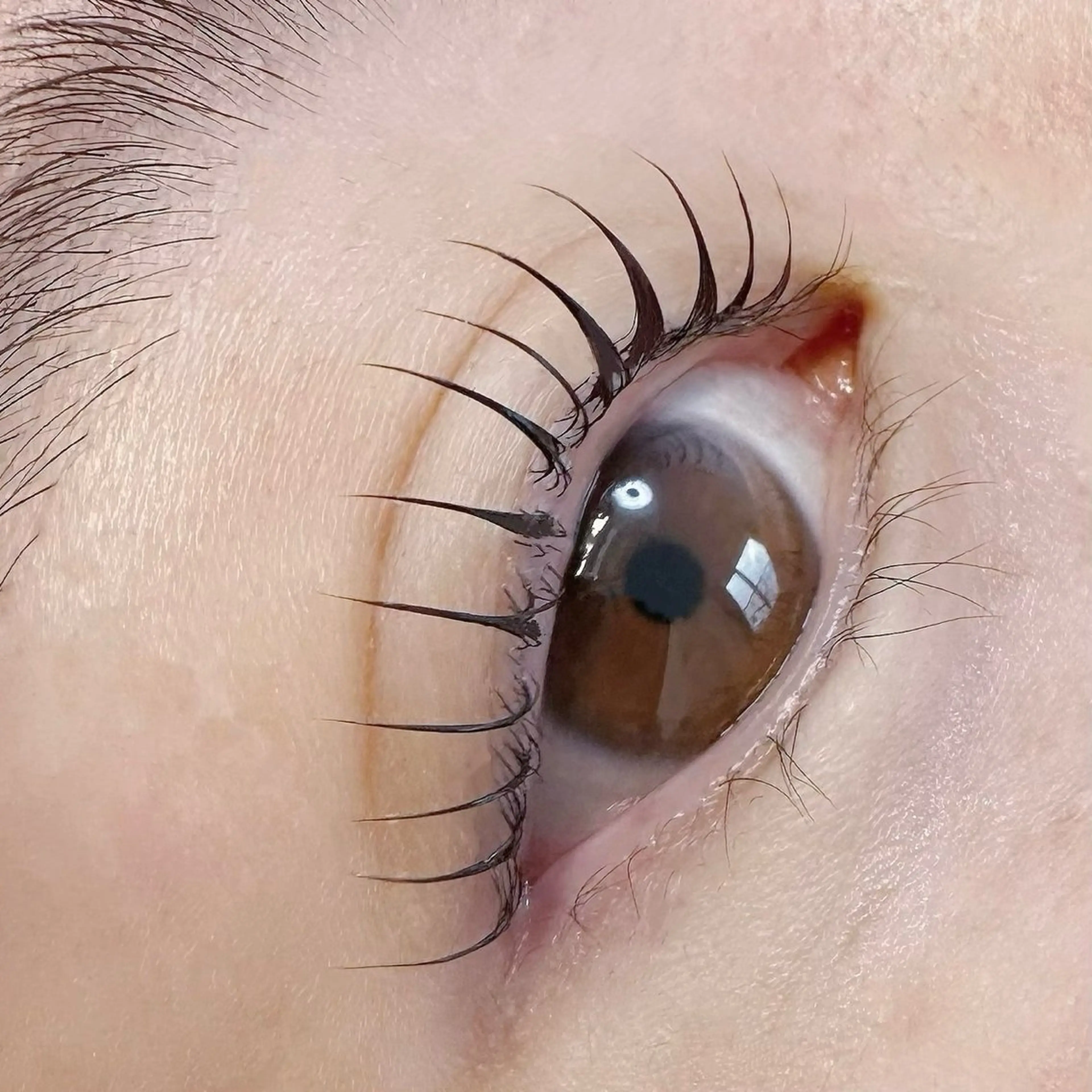 マツエク・マツパ ケラチンラッシュリフト パリジェンヌラッシュリフト まつげパーマ D-Lotus nail & eye所属・D-Lotus yuzuのマツエク・マツパデザイン