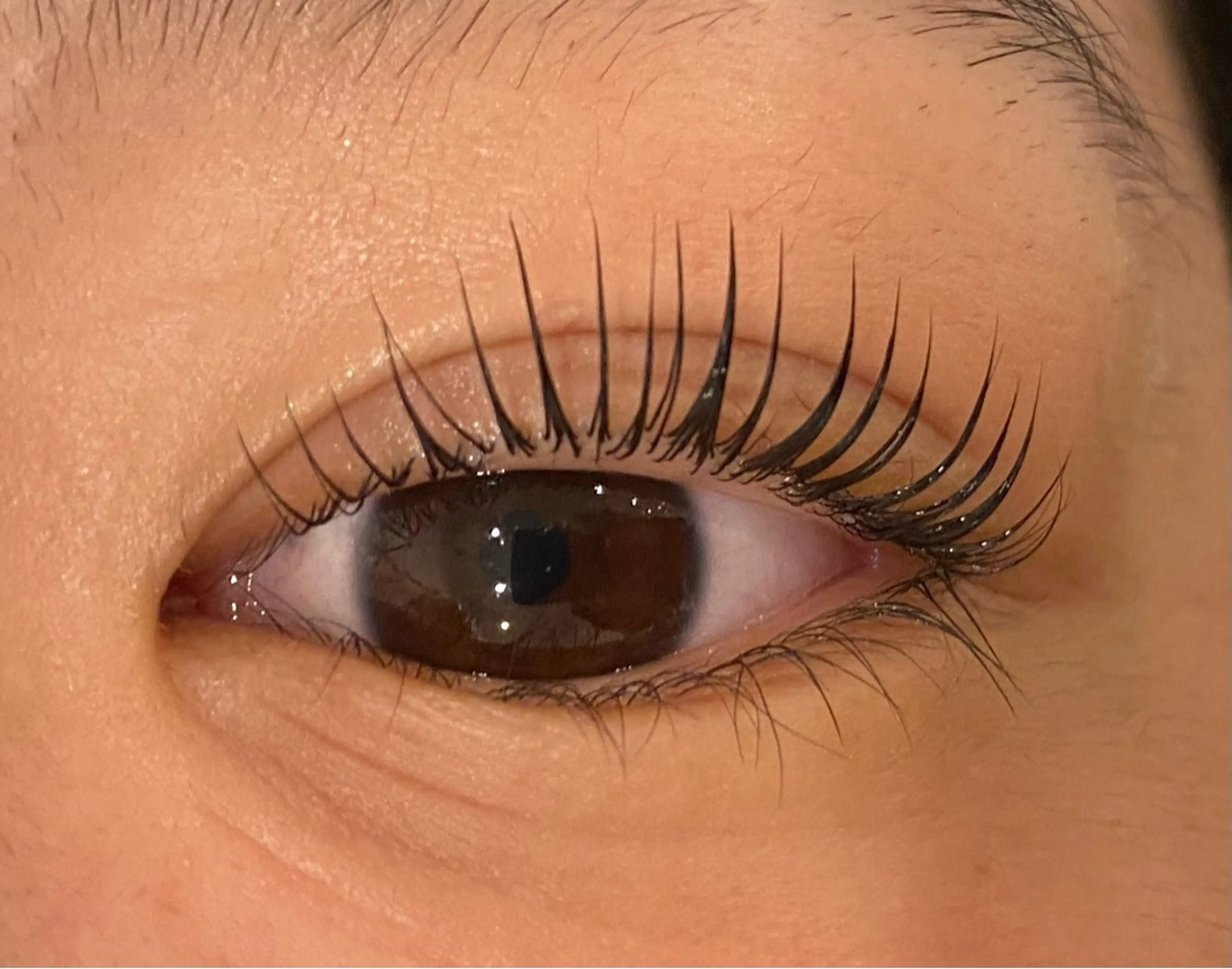 マツエク・マツパ Daisy lash 京橋店堀井のマツエク・マツパデザイン