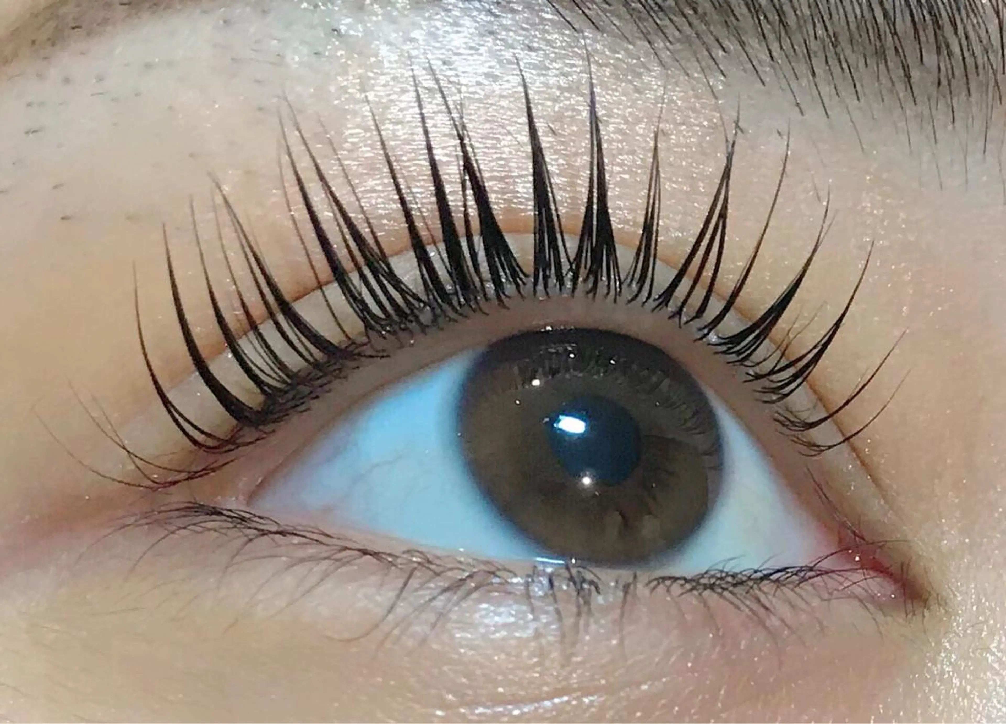 マツエク・マツパ パリジェンヌラッシュリフト 我妻 怜奈のマツエク・マツパデザイン