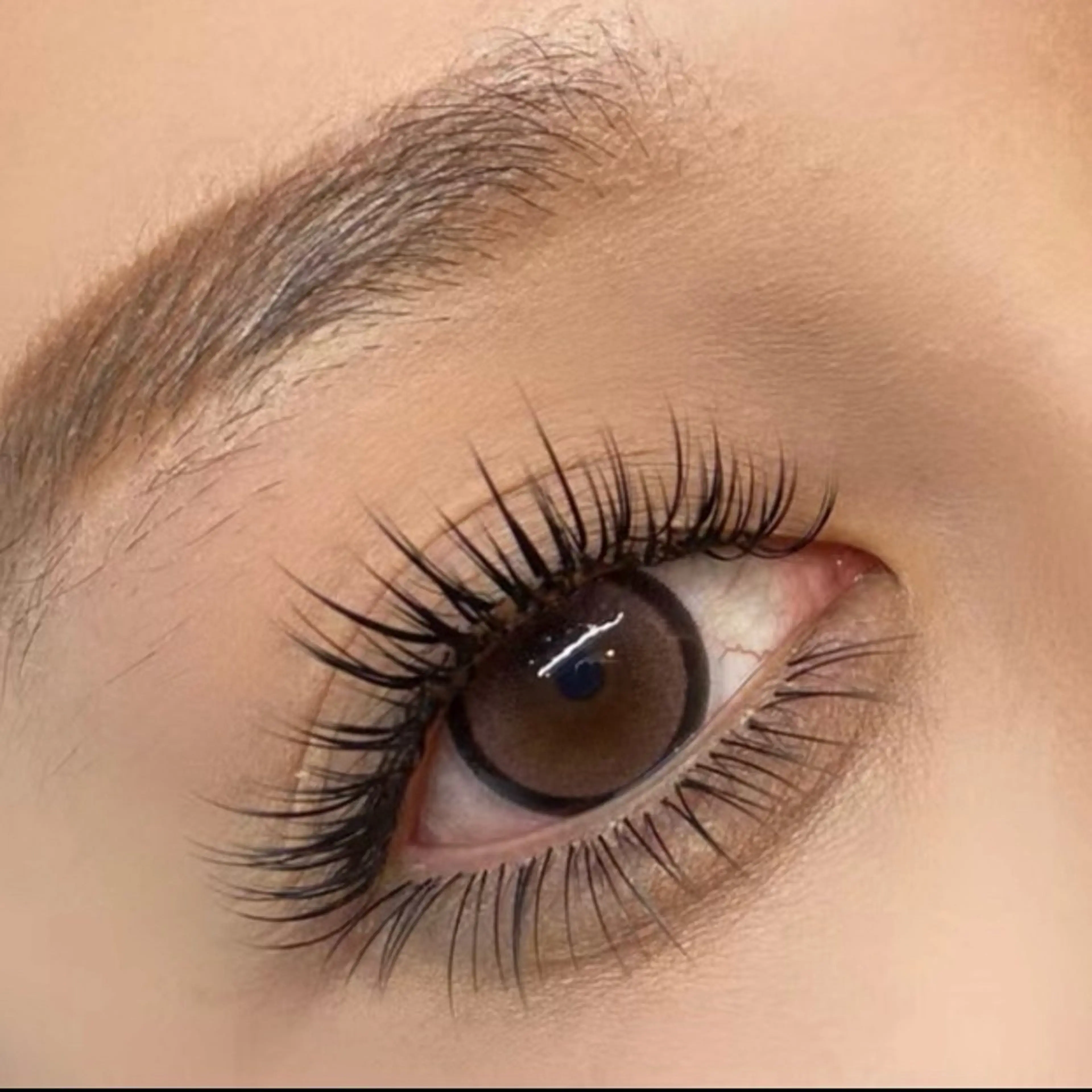 初回オフ🆓　❤️LED➕束感ボリュームラッシュ100束❤️　コーティング付の写真