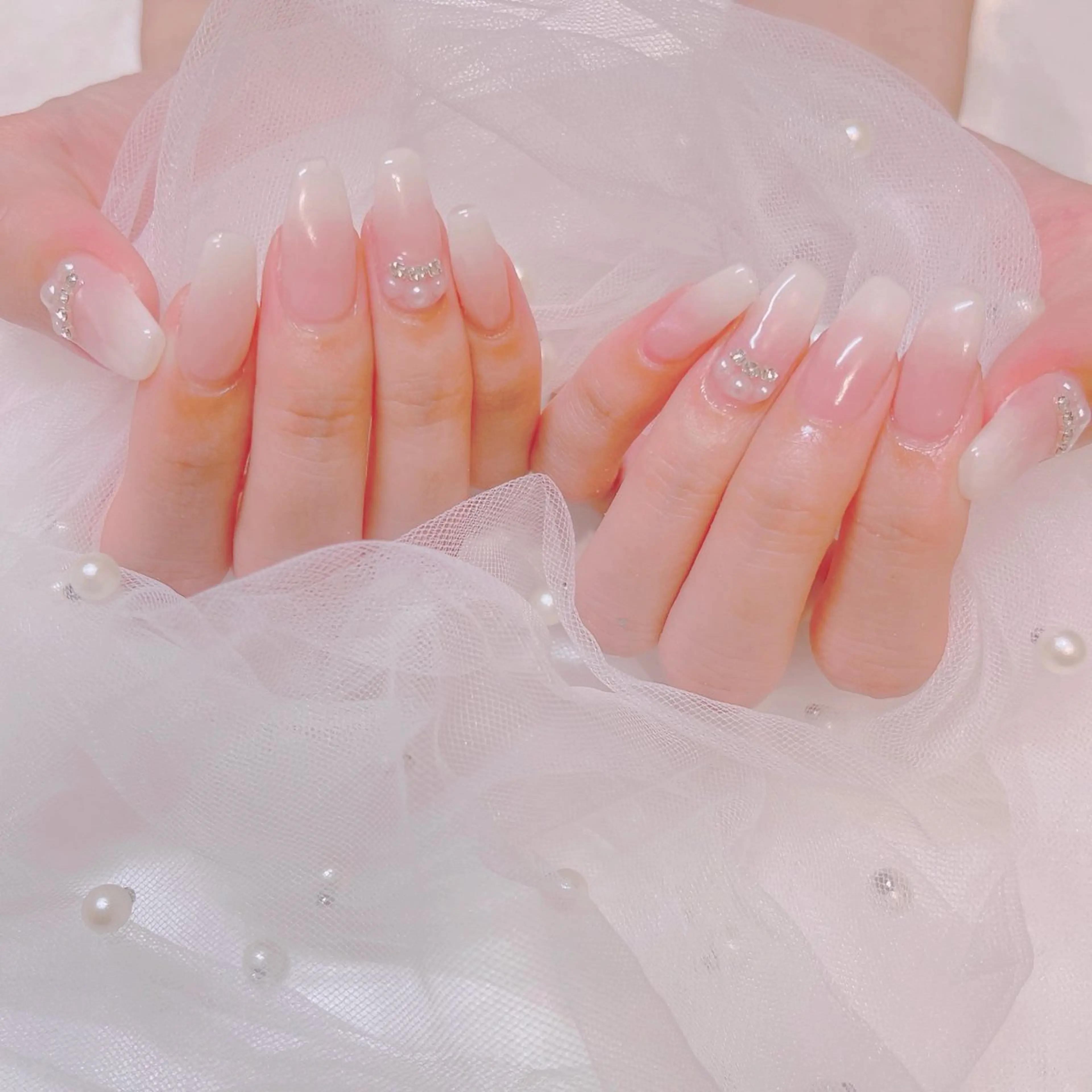 【オフ込み】ベイビーブーマーの写真