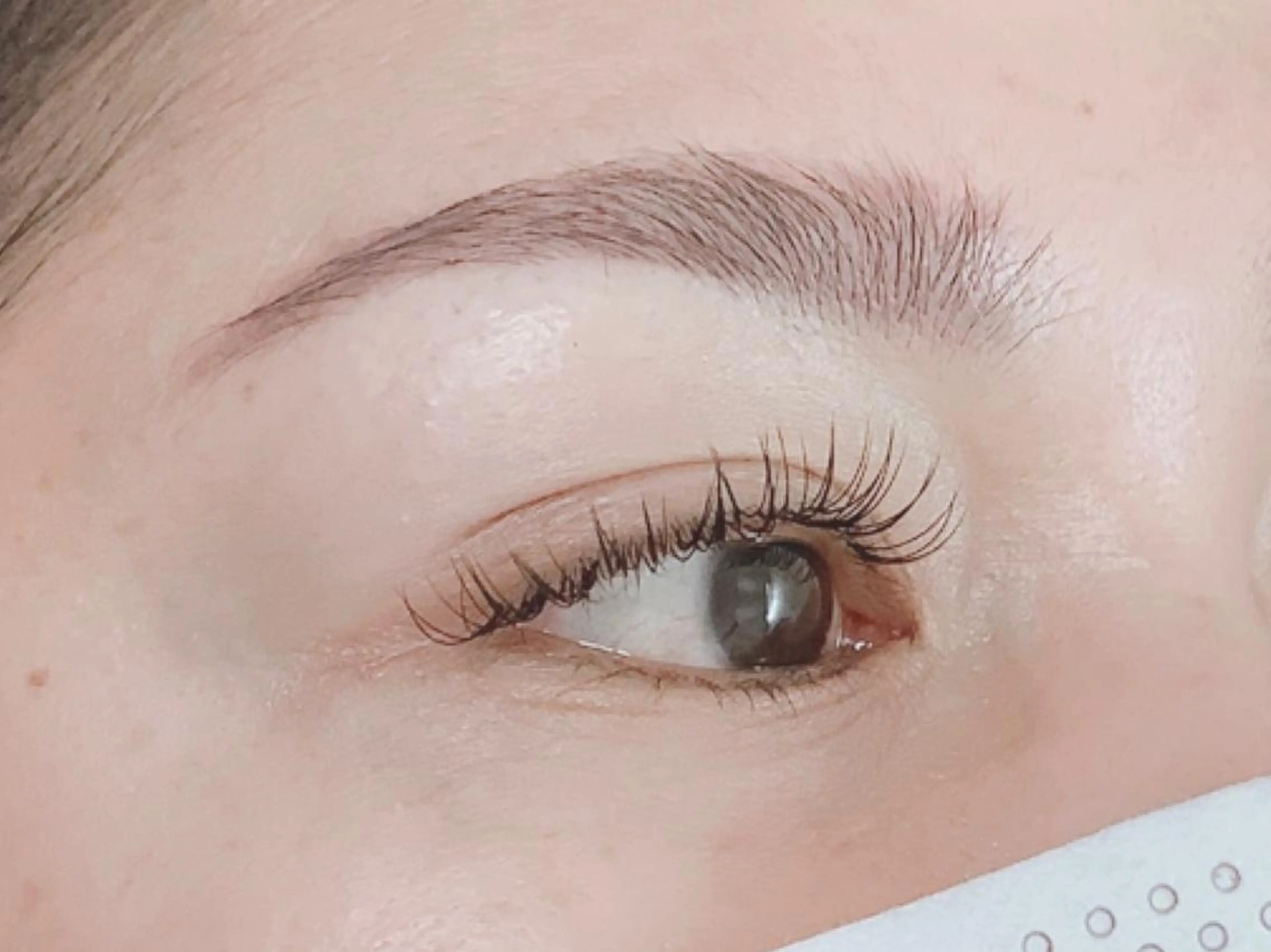 マツエク・マツパ SWARO スワロの眉毛・アイブロウイメージ