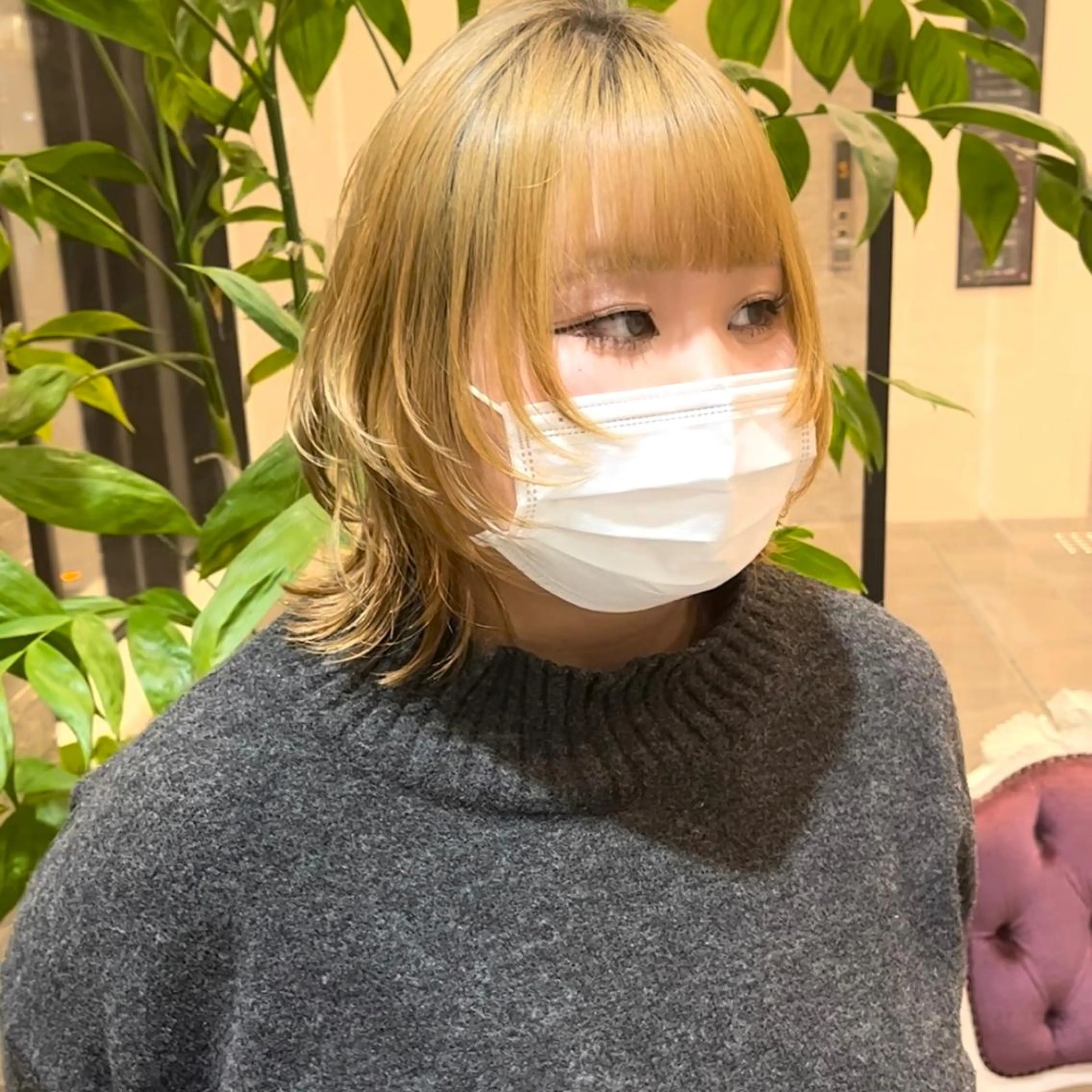 ミディアム 大阪ウルフカット 🐺デザインカラーのヘアスタイル