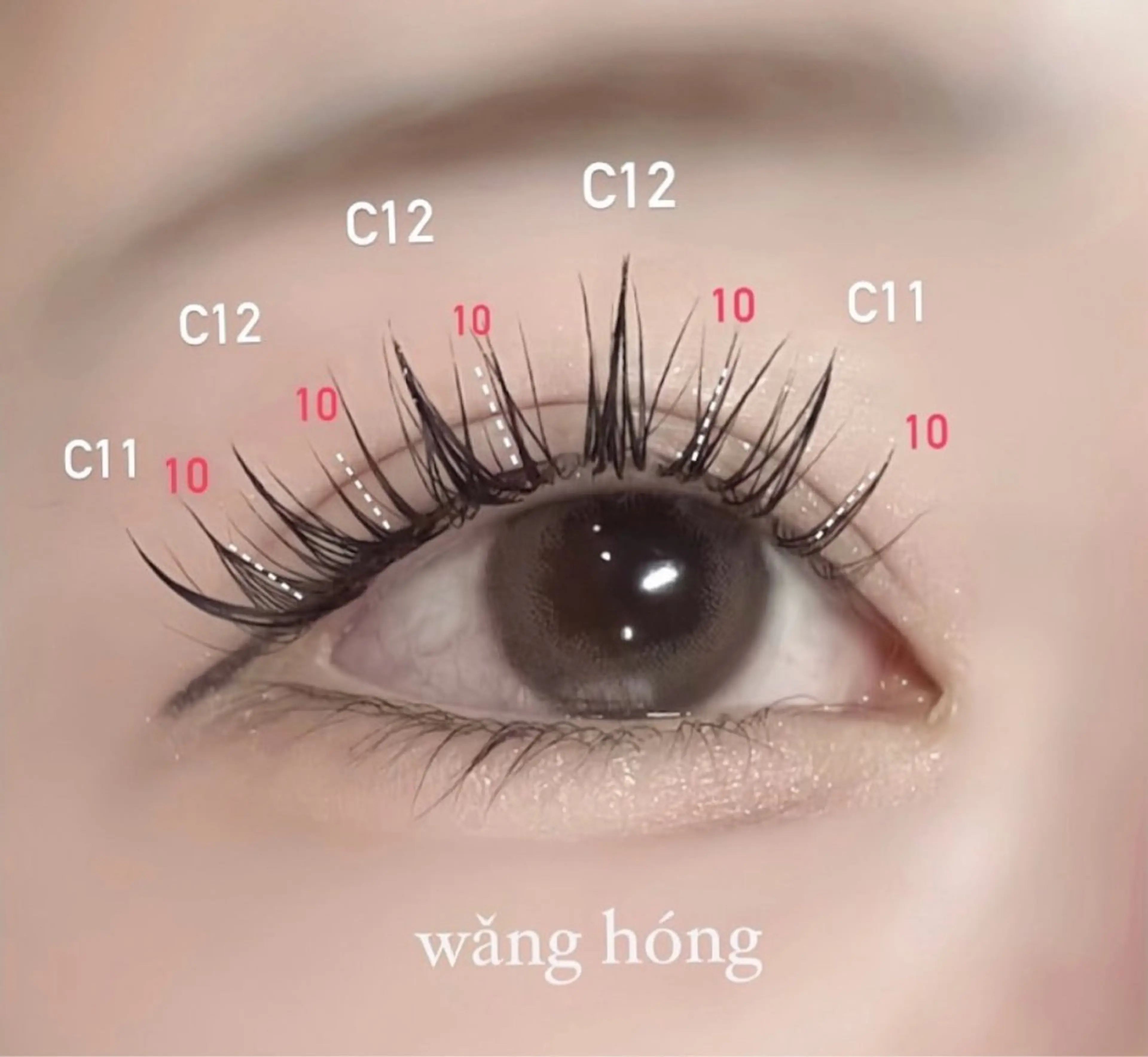 ワンホンデザイン140本🪭 中韓好きの方に人気 design🦋❤️の写真