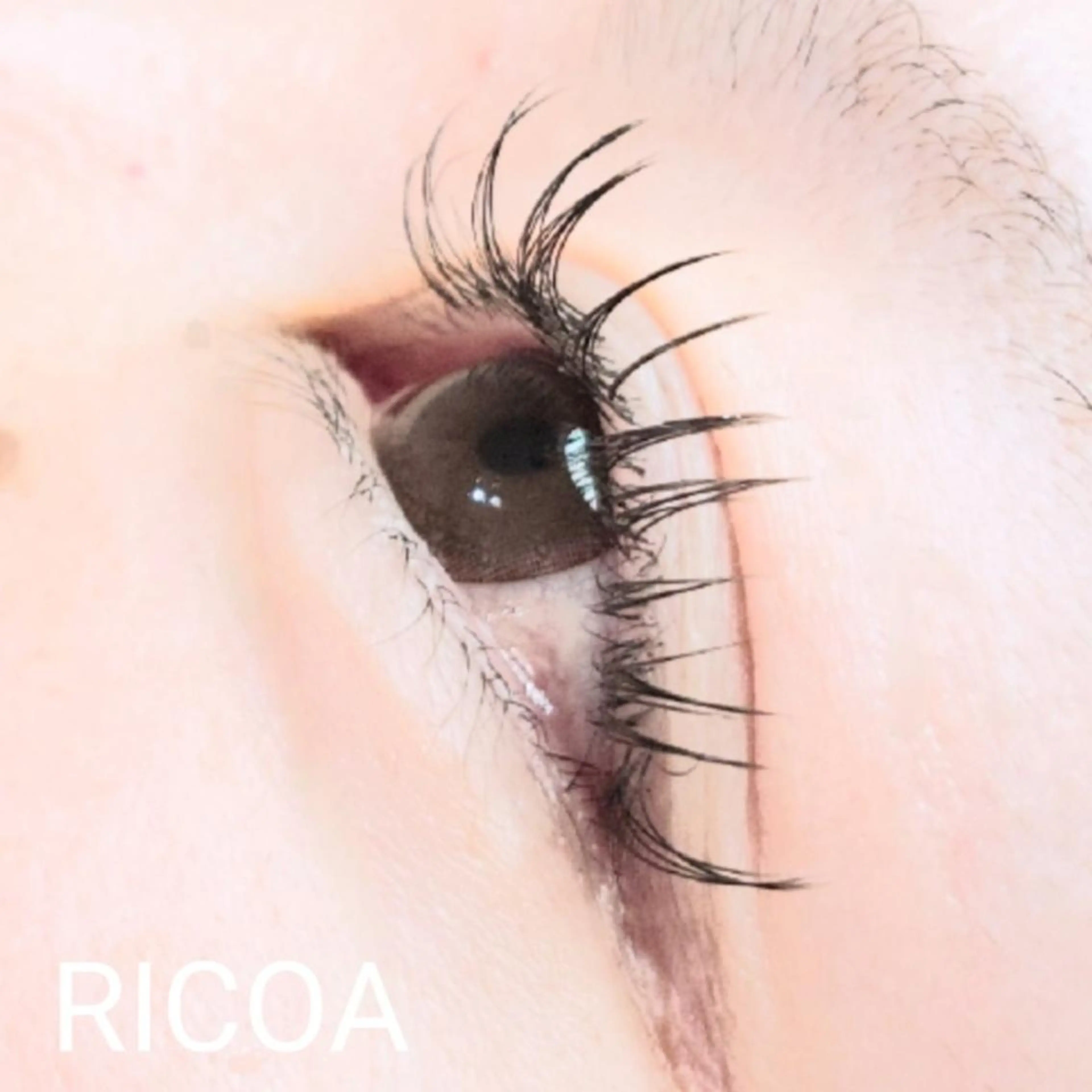 マツエク・マツパ フラットラッシュ RICOA 酒井のマツエク・マツパデザイン