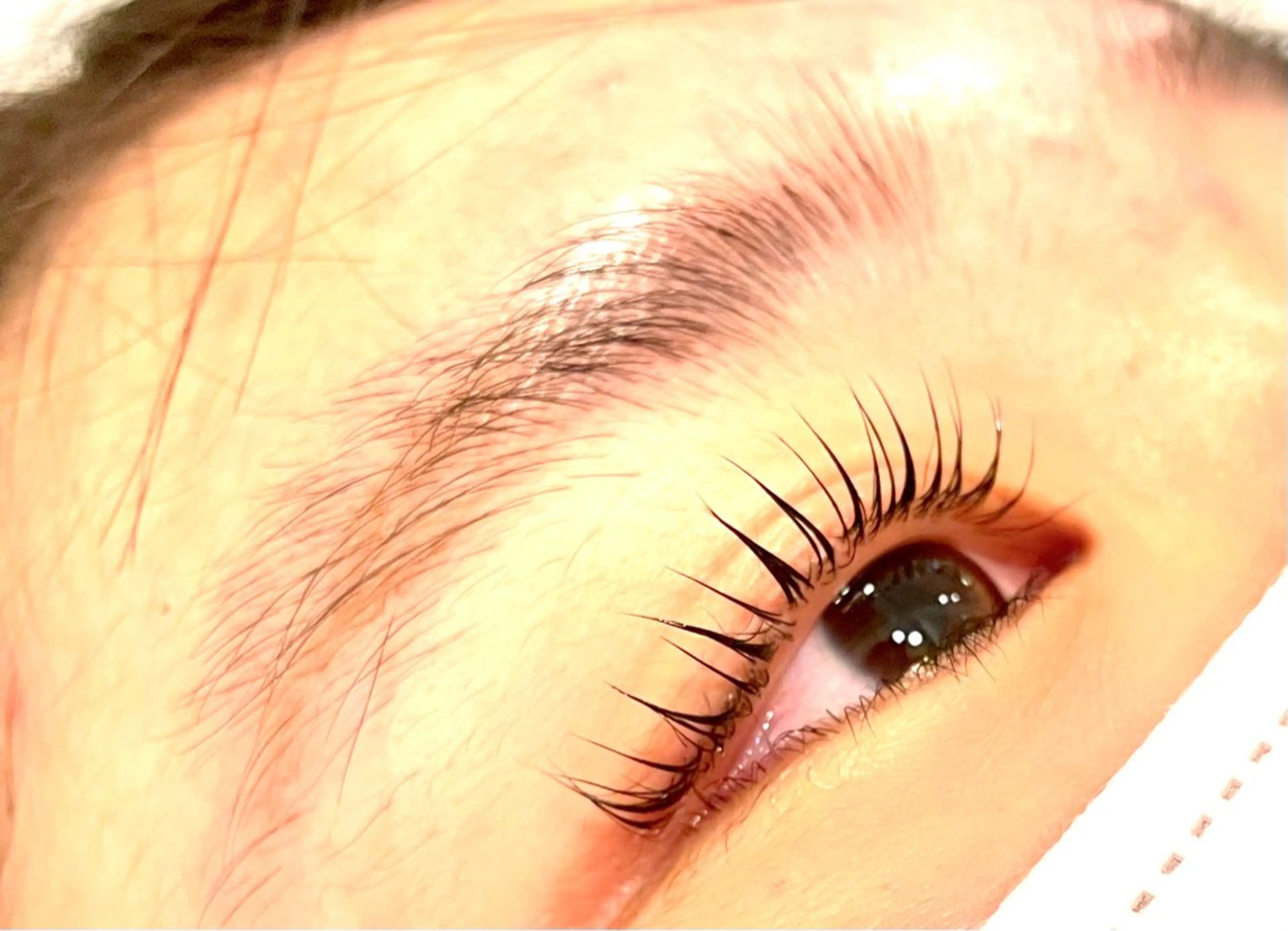 マツエク・マツパ パリジェンヌラッシュリフト beauce eyelash所属・Beauce / 無料モデル募集のマツエク・マツパデザイン