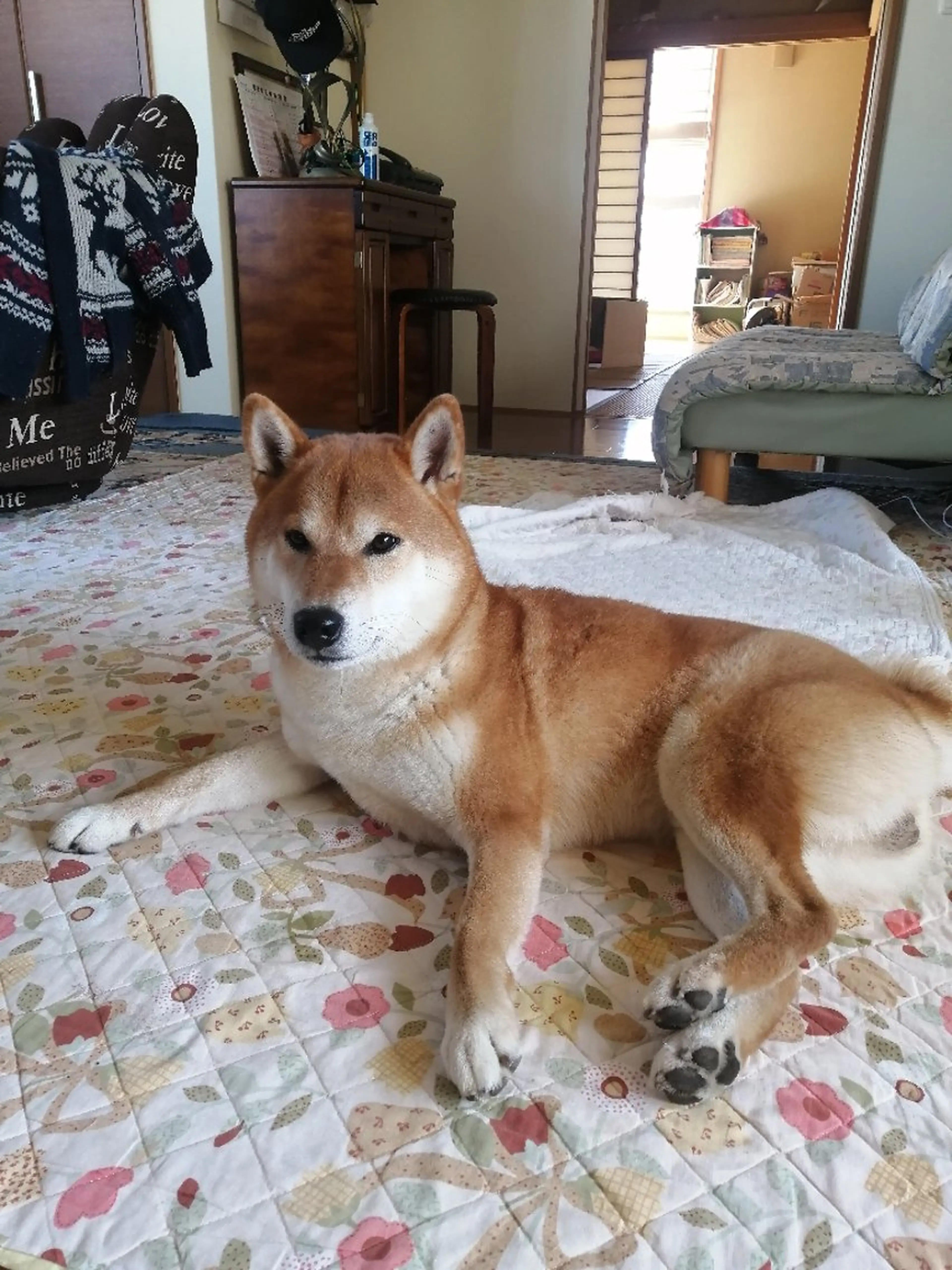 D/i所属・D/i |Y/no. 〈夜スパ17時〜〉のヘアスタイル