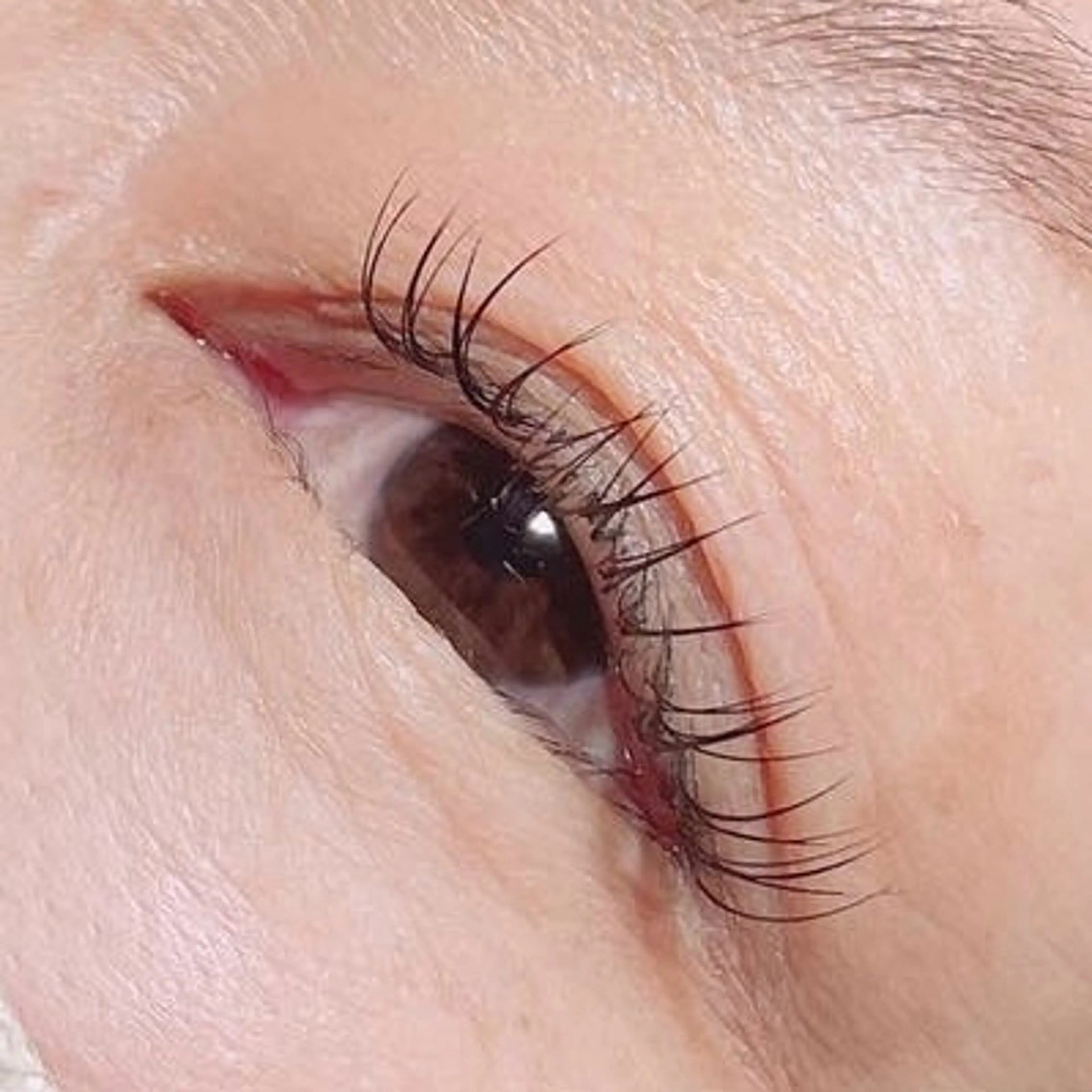 🍓上まつ毛・シングルラッシュ🍓​〜​80本まで装着⭐️《オフ•コーティング込み》（土日祝+550円）の写真