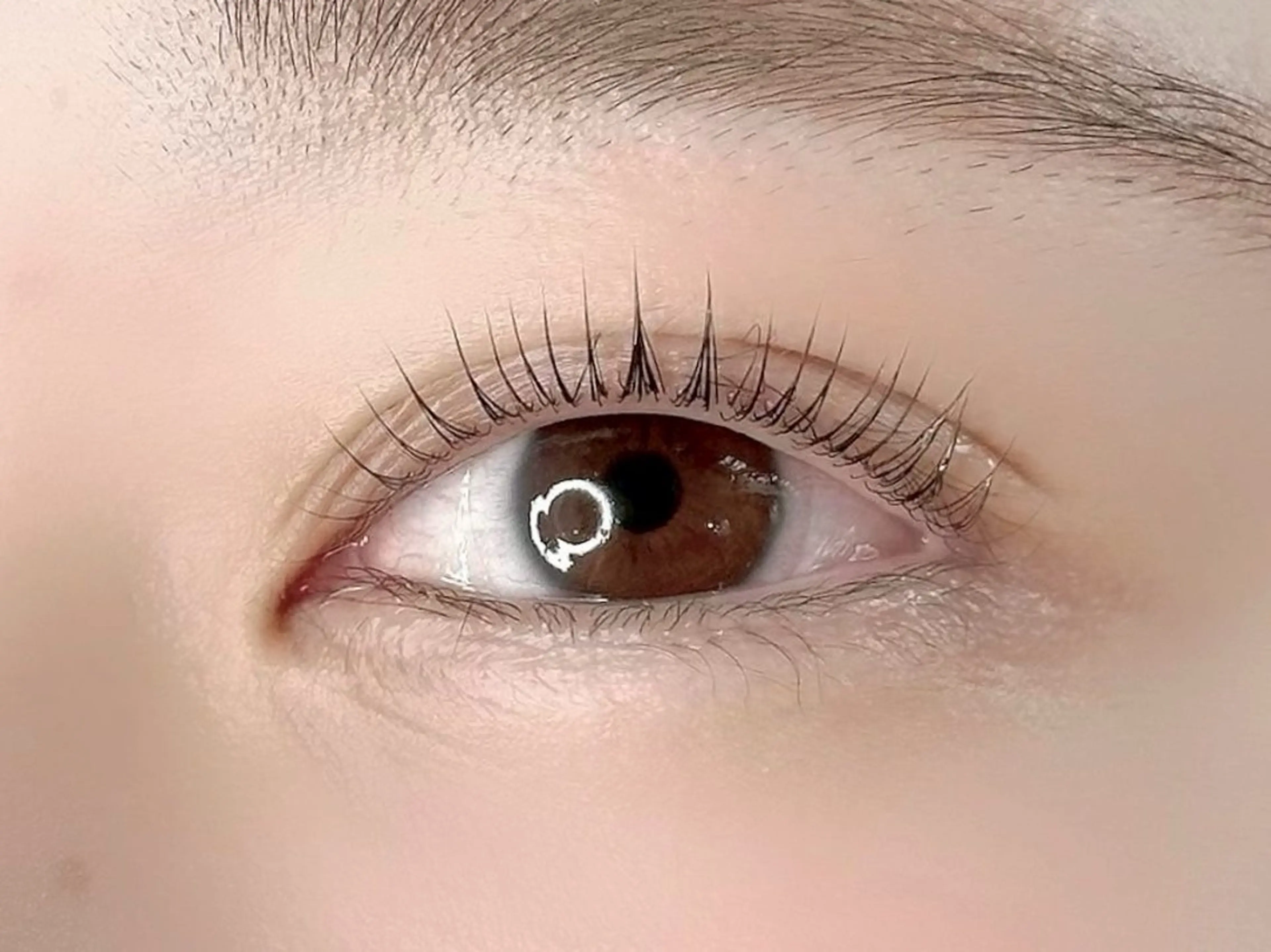 マツエク・マツパ パリジェンヌラッシュリフト マツパ 美u•p 鶴ヶ峰店のマツエク・マツパデザイン