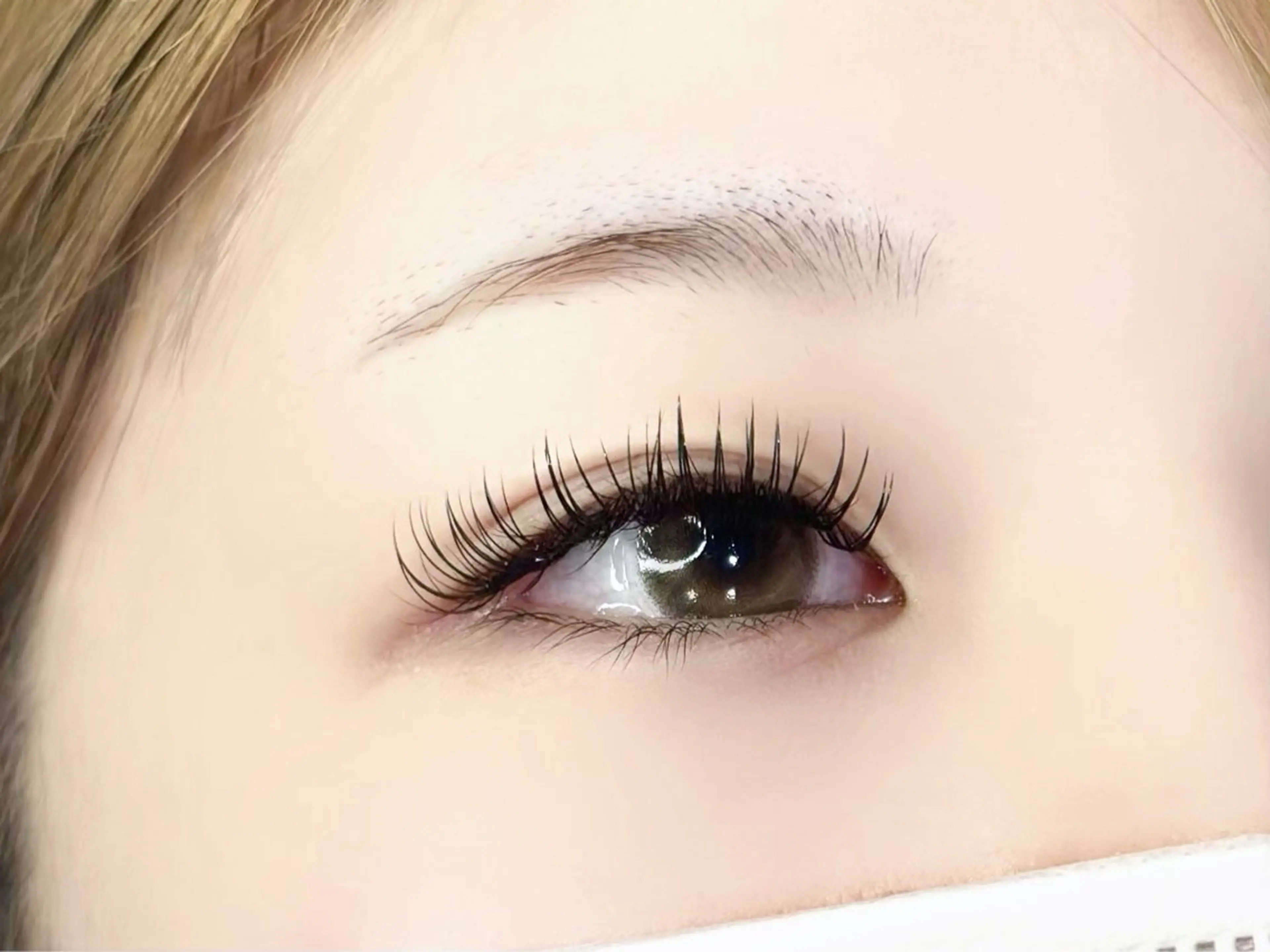 【🔰新規本日限定‼️】マツエク(オフなし) 🧡本数は50分で付けられるだけになりますの写真