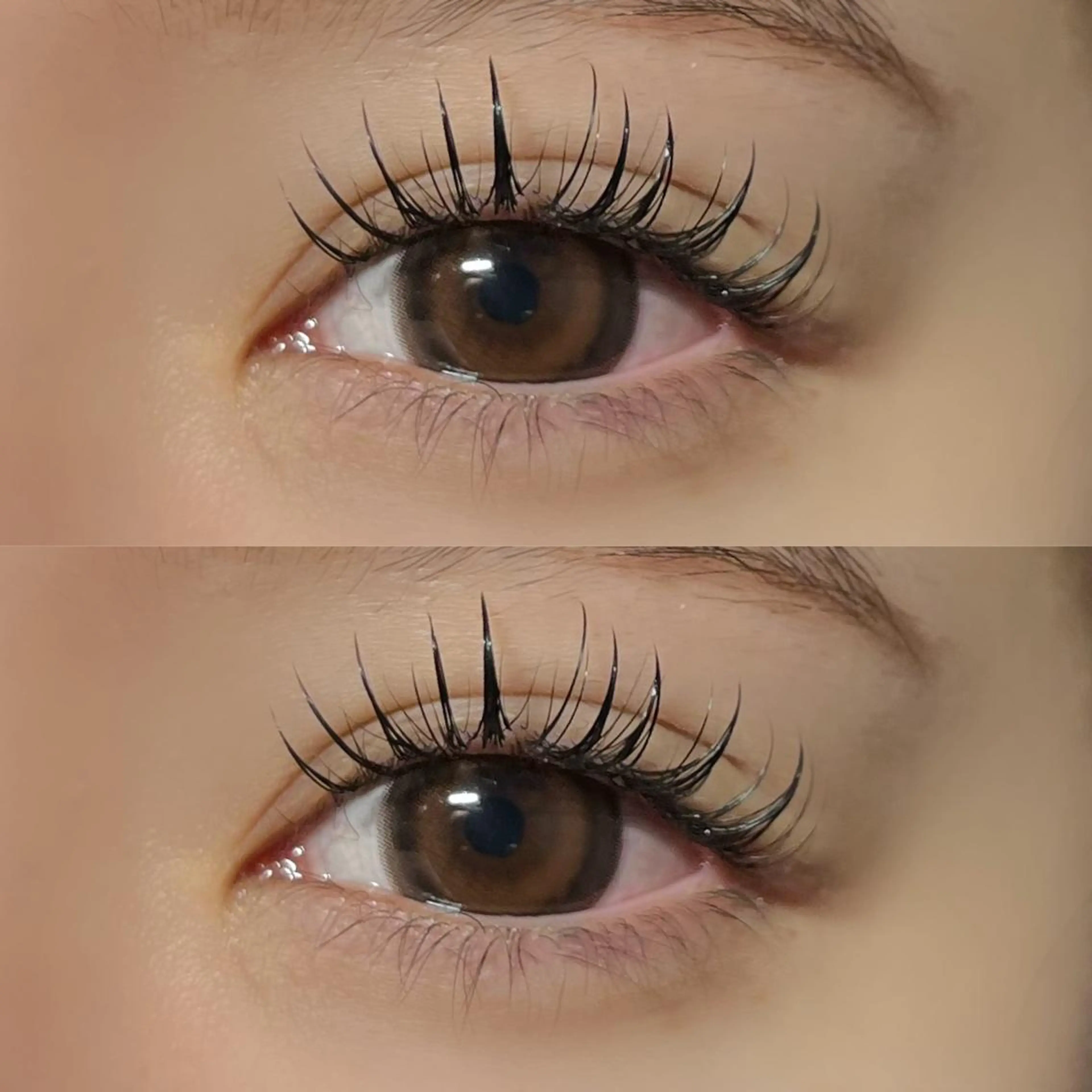 マツエク・マツパ パリジェンヌラッシュリフト Milobyking 🍒rihoの眉毛・アイブロウイメージ