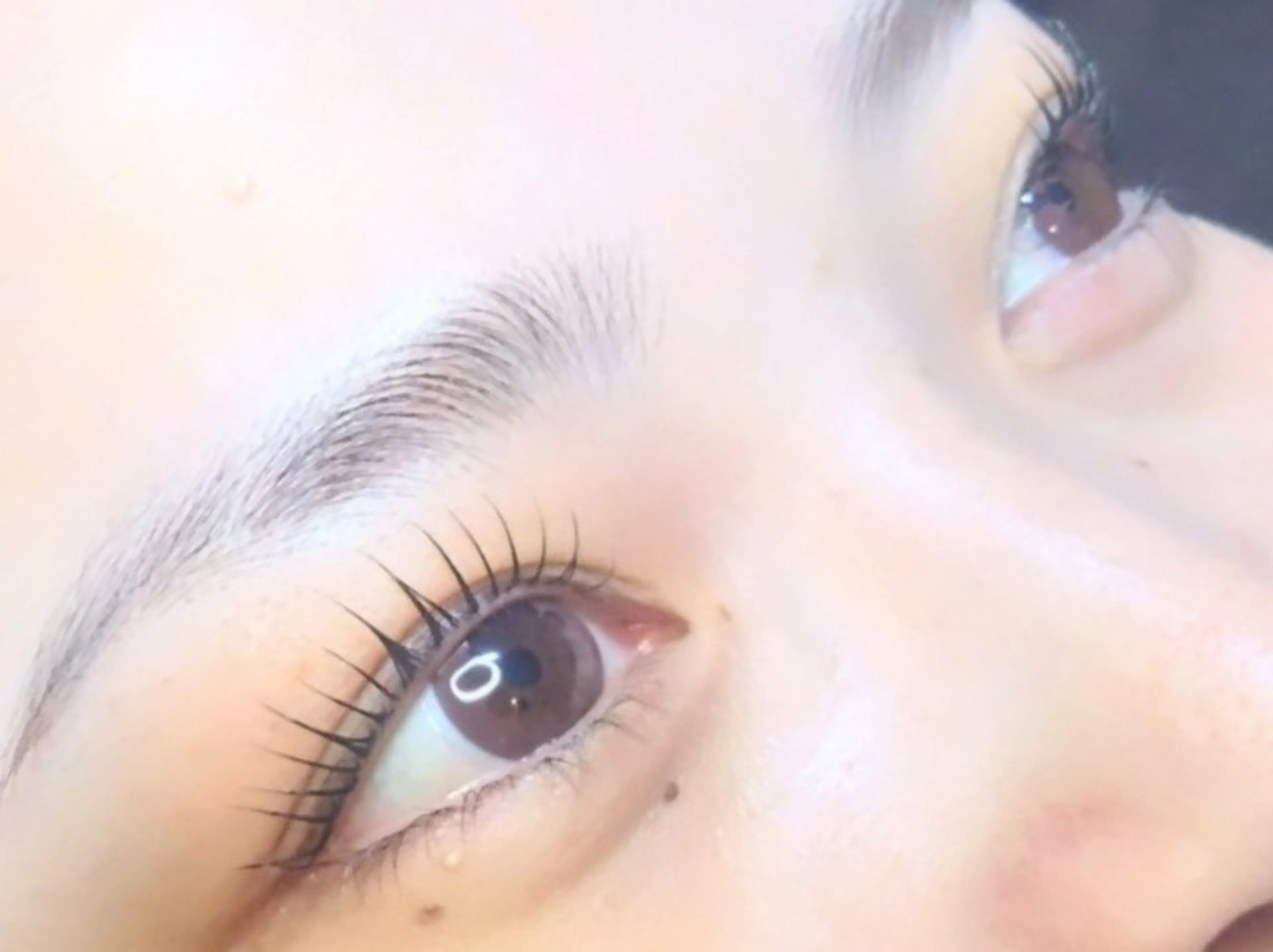 まつ毛パーマ　(トリートメント入りコーティング仕上げ)の写真