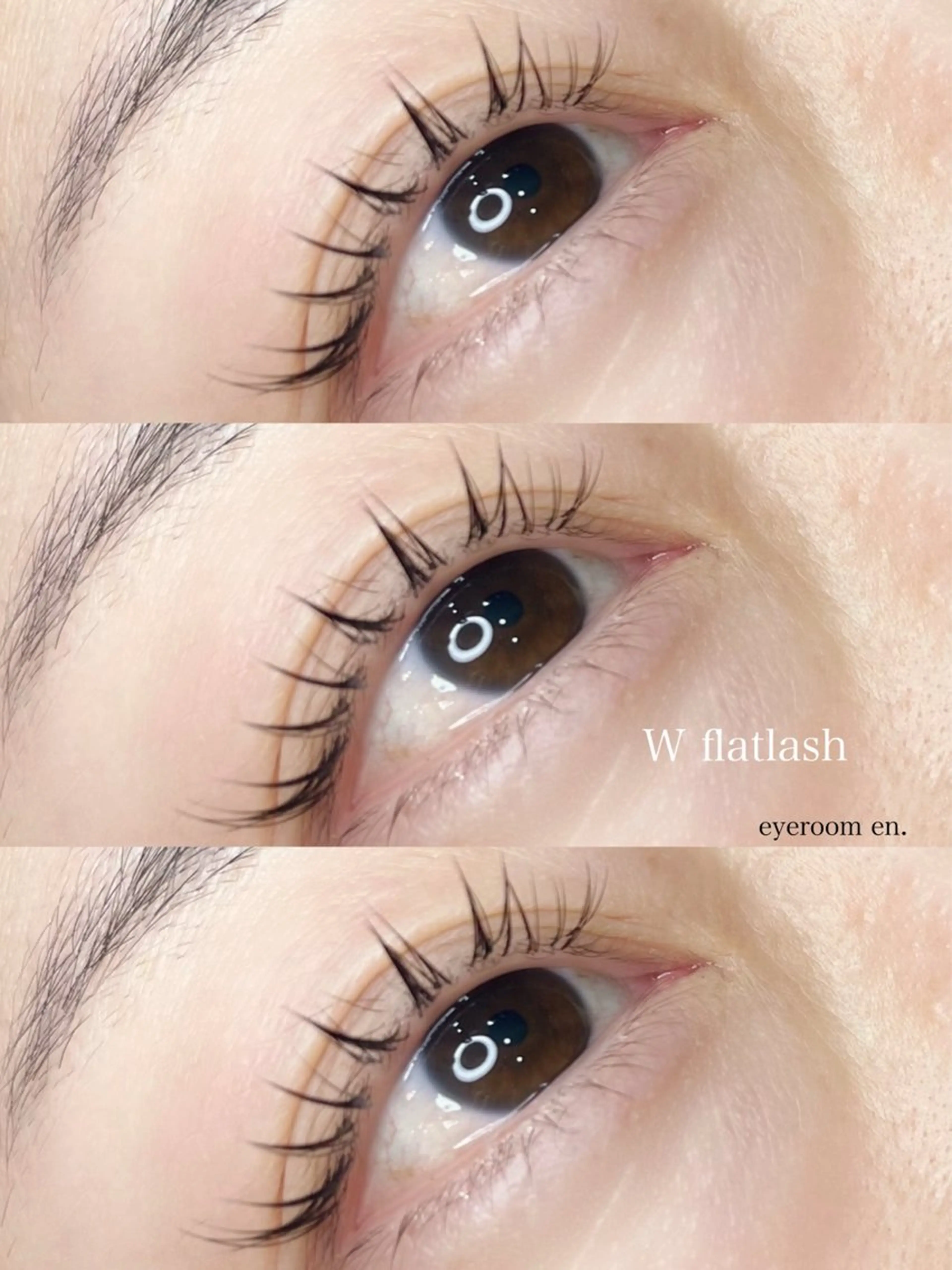 フラットラッシュ160本の写真