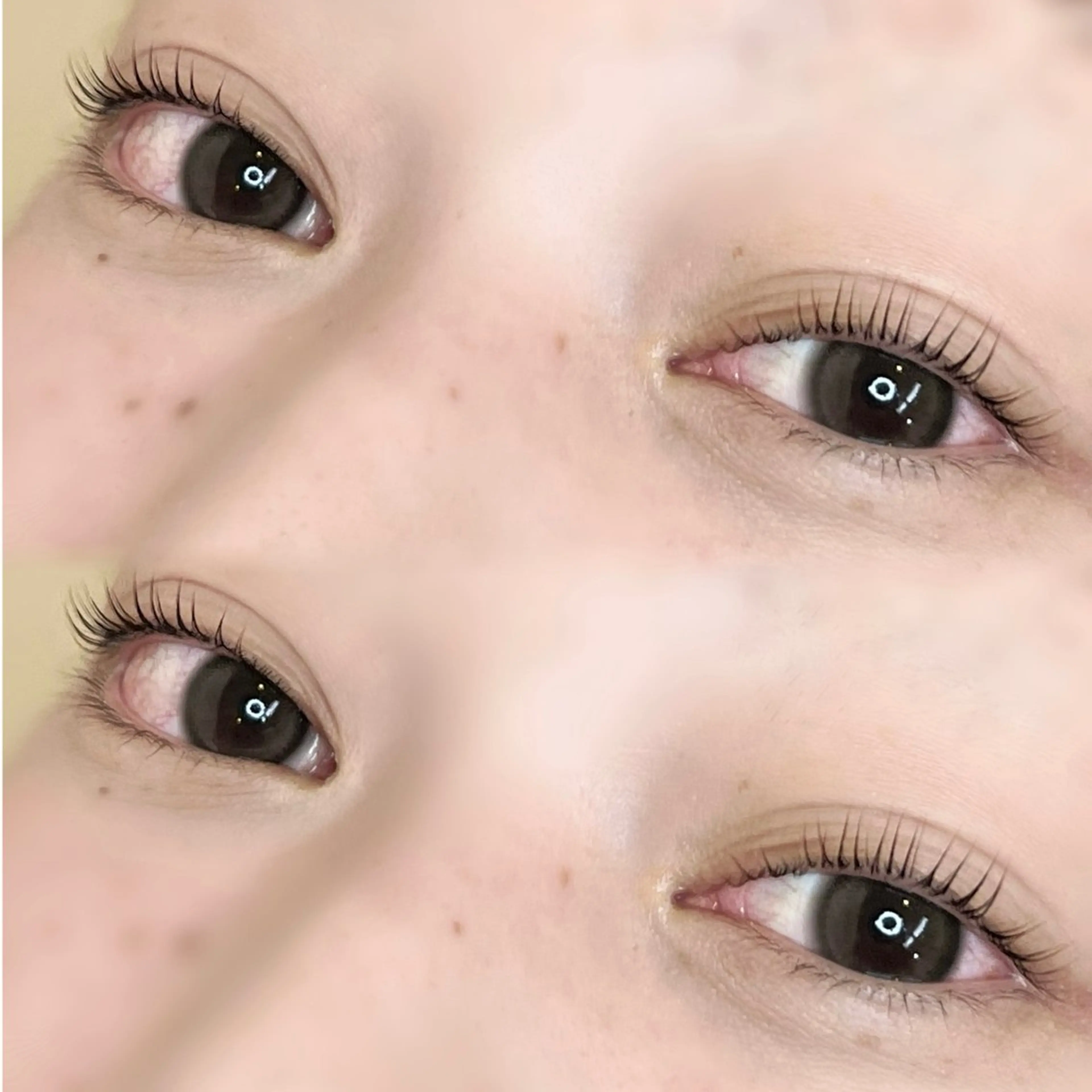 マツエク・マツパ Qoonel西岐阜店所属・yuki  ︎︎のマツエク・マツパデザイン