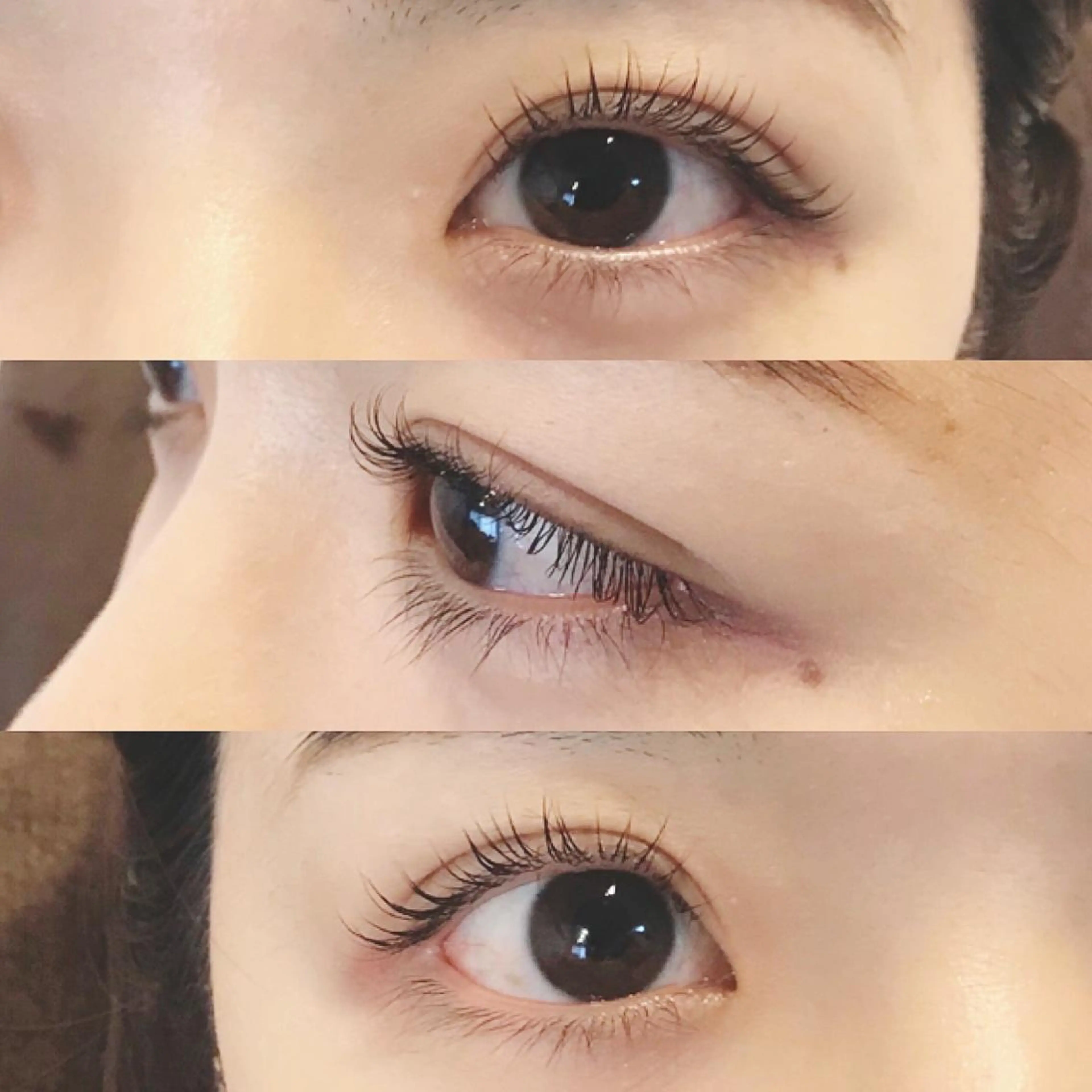 マツエク・マツパ フラットラッシュ パリジェンヌラッシュリフト まつげパーマ 下まつげエクステ ボリュームラッシュ Mai まつげパーマ/LEDのマツエク・マツパデザイン