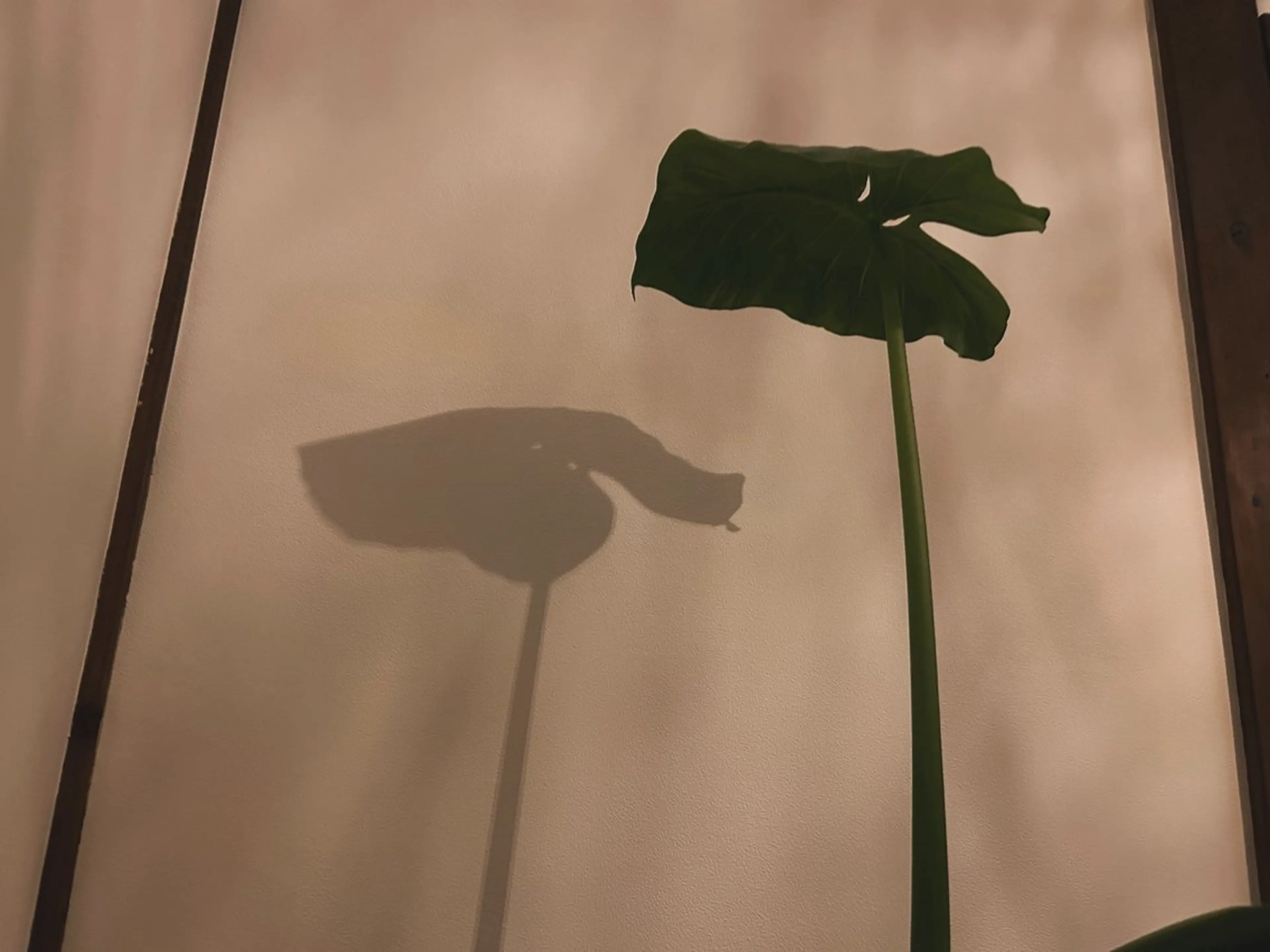 Born to be yoga&relaxのエステ・リラクイメージ