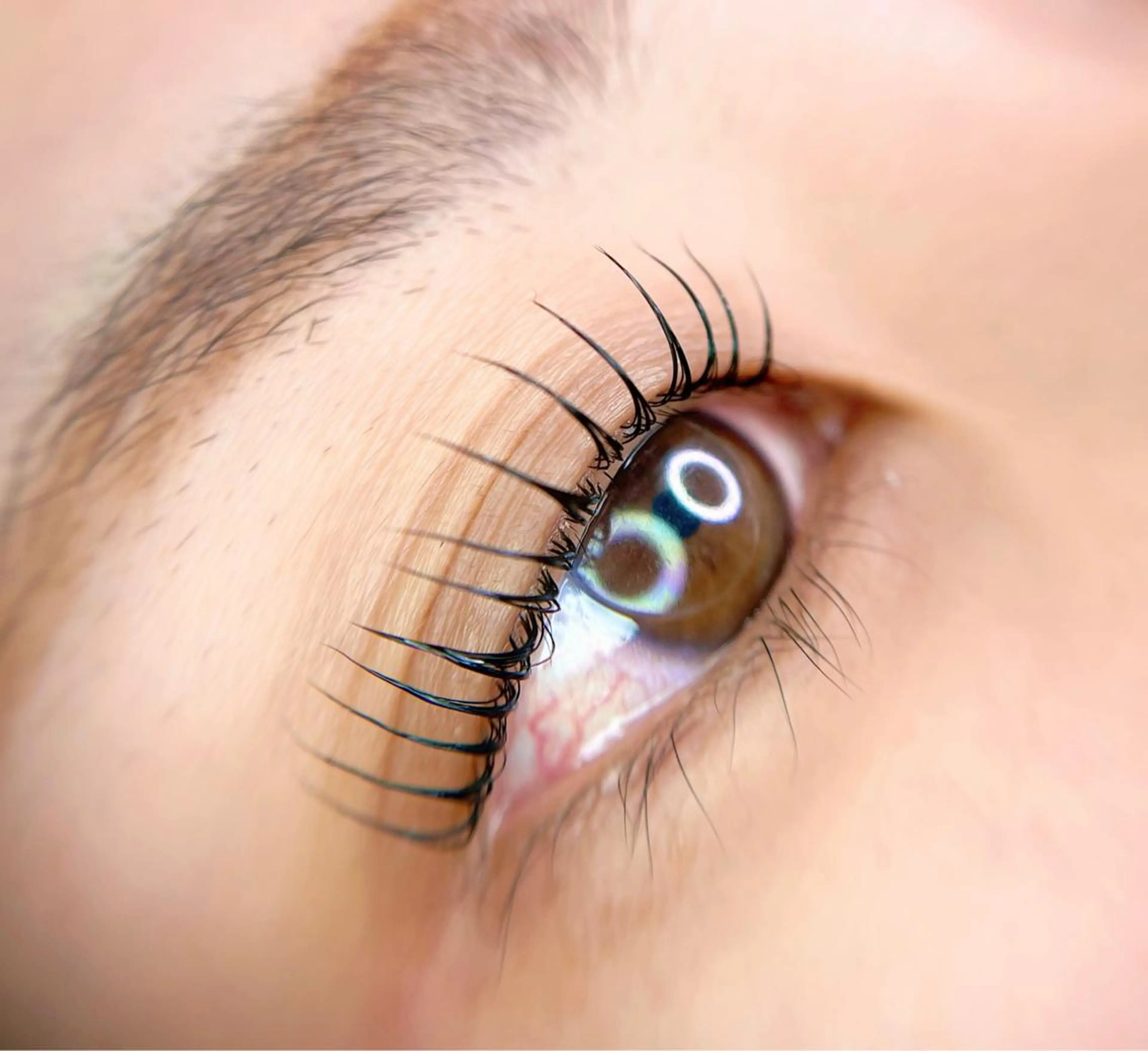 マツエク・マツパ ecru. eyelashのマツエク・マツパデザイン