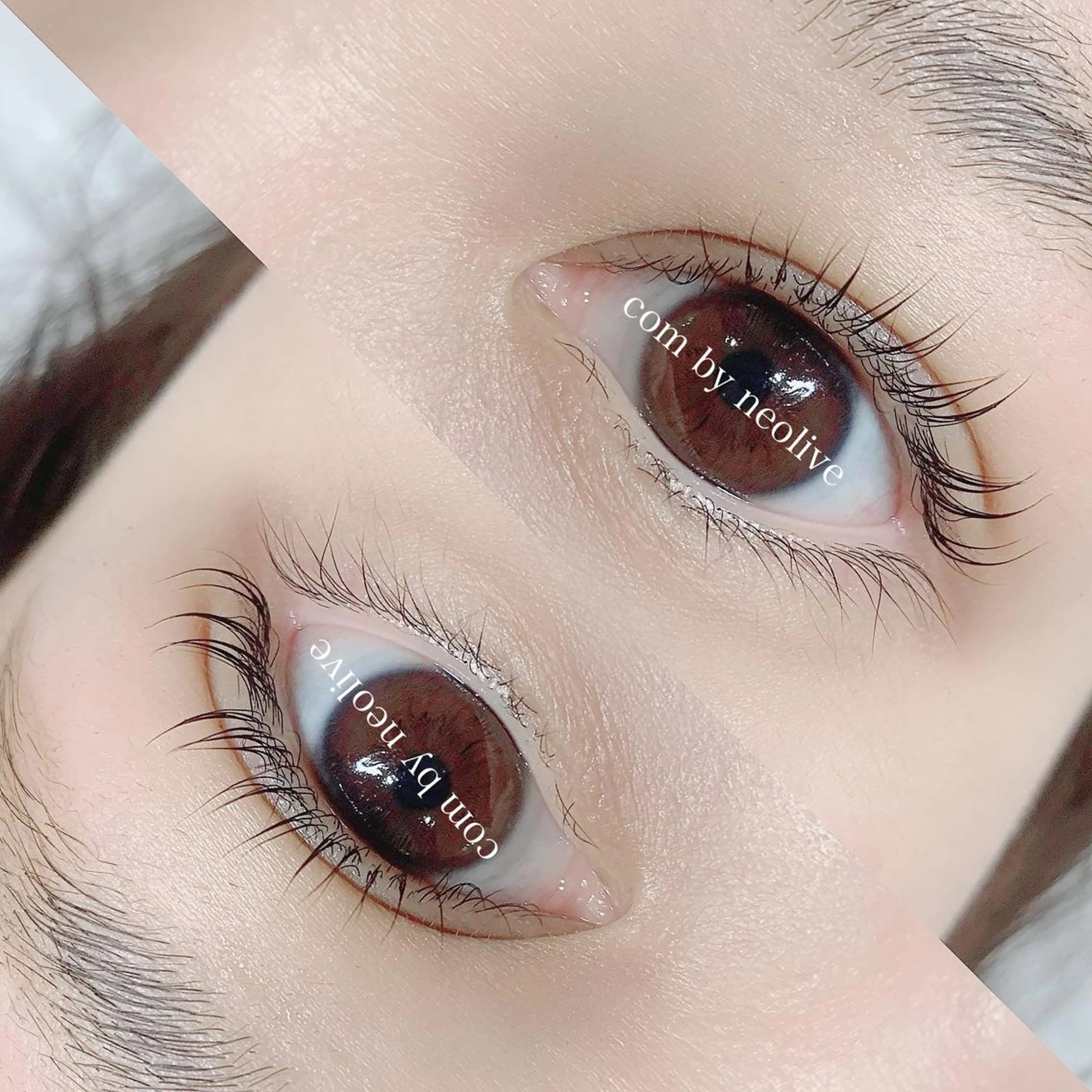 マツエク・マツパ パリジェンヌラッシュリフト マツパ 池袋駅韓国風🇰🇷 束感💗Tomoのマツエク・マツパデザイン