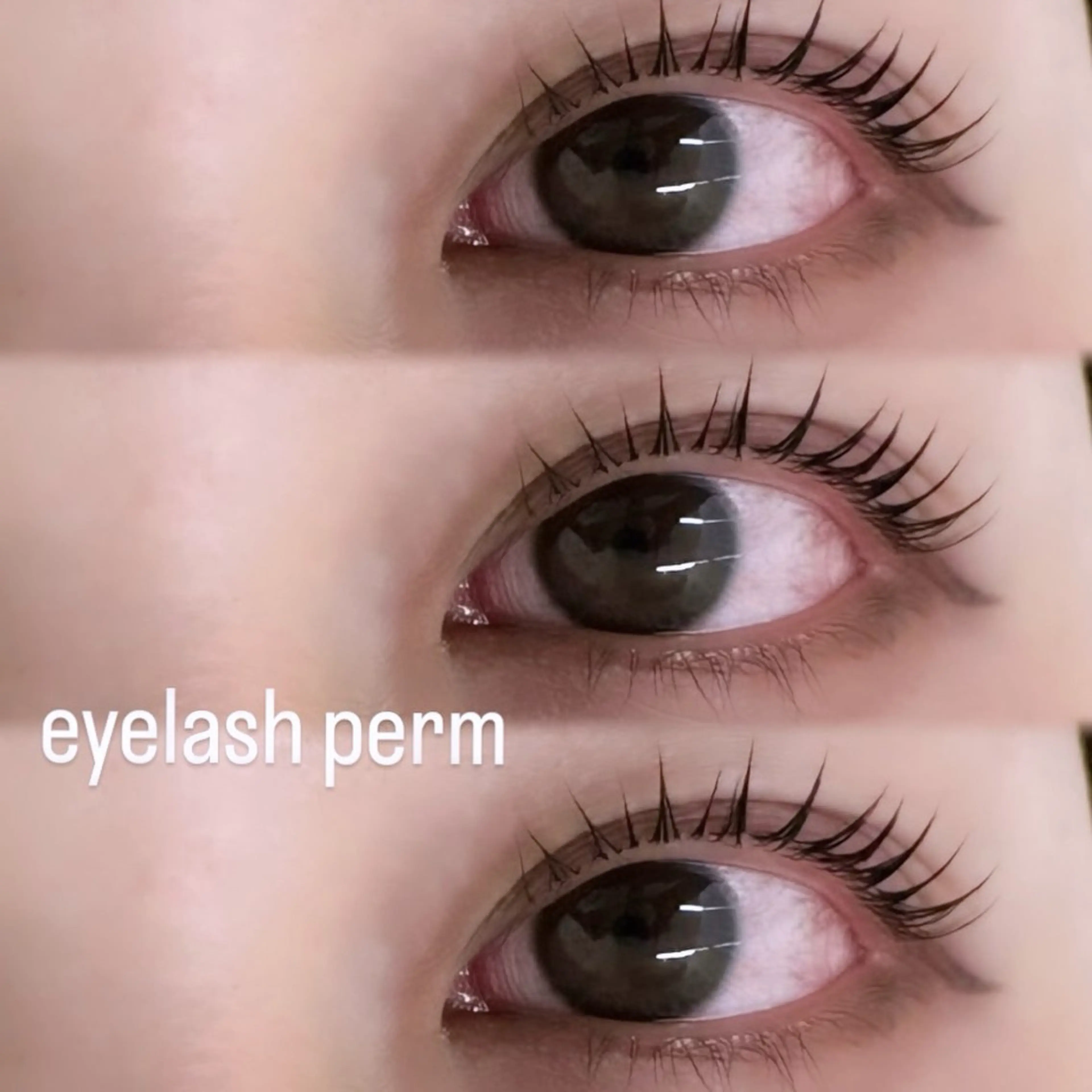 マツエク・マツパ mila.池袋西口店 古市のマツエク・マツパデザイン