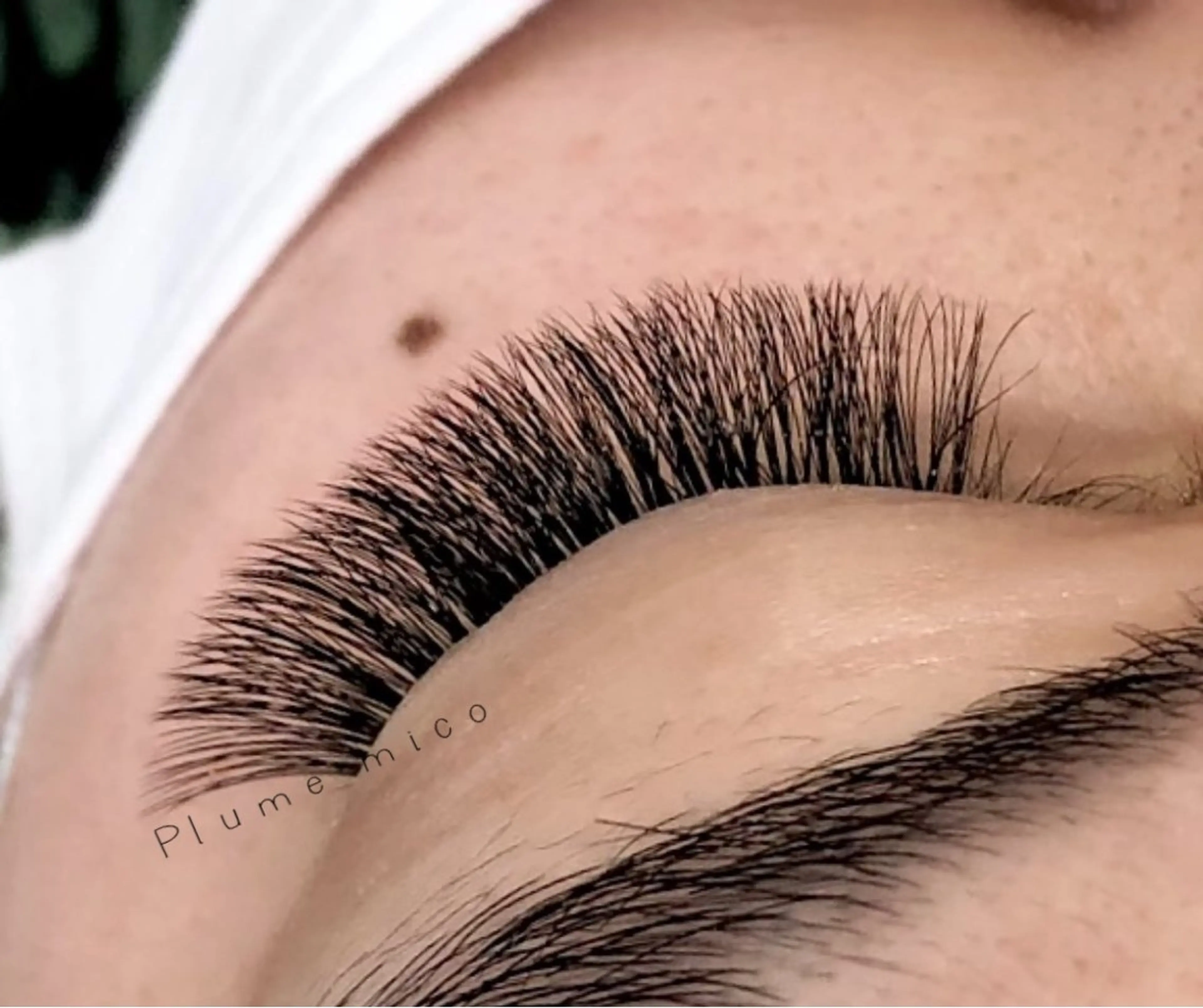 マツエク・マツパ マツエク Plume micoのマツエク・マツパデザイン