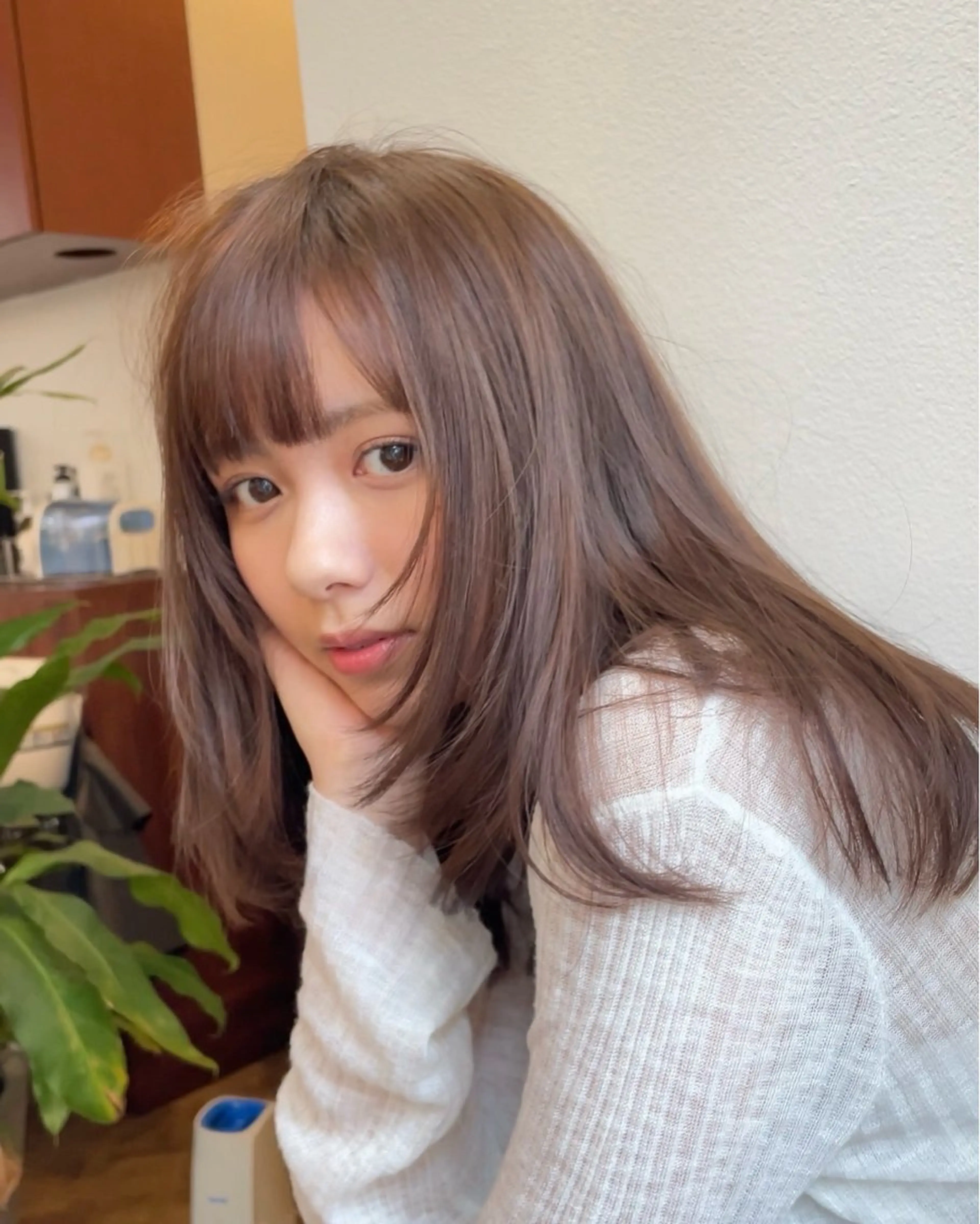 カットモデル女性のみの写真