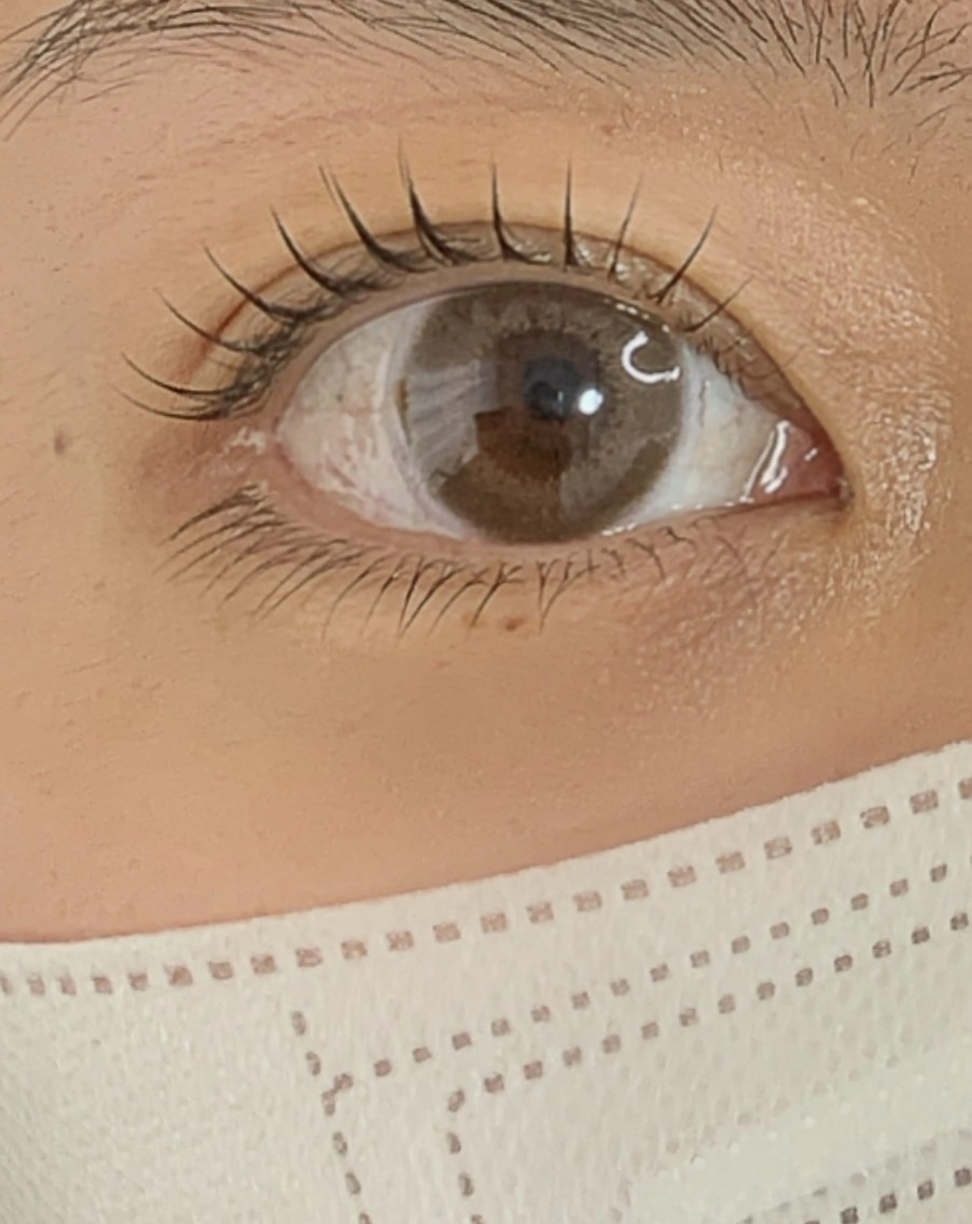 マツエク・マツパ ナチュラル 下まつげエクステ 一重×まつ毛パーマ Ｉ　am.所属・Ｉam.  中崎店 MIKIのマツエク・マツパデザイン