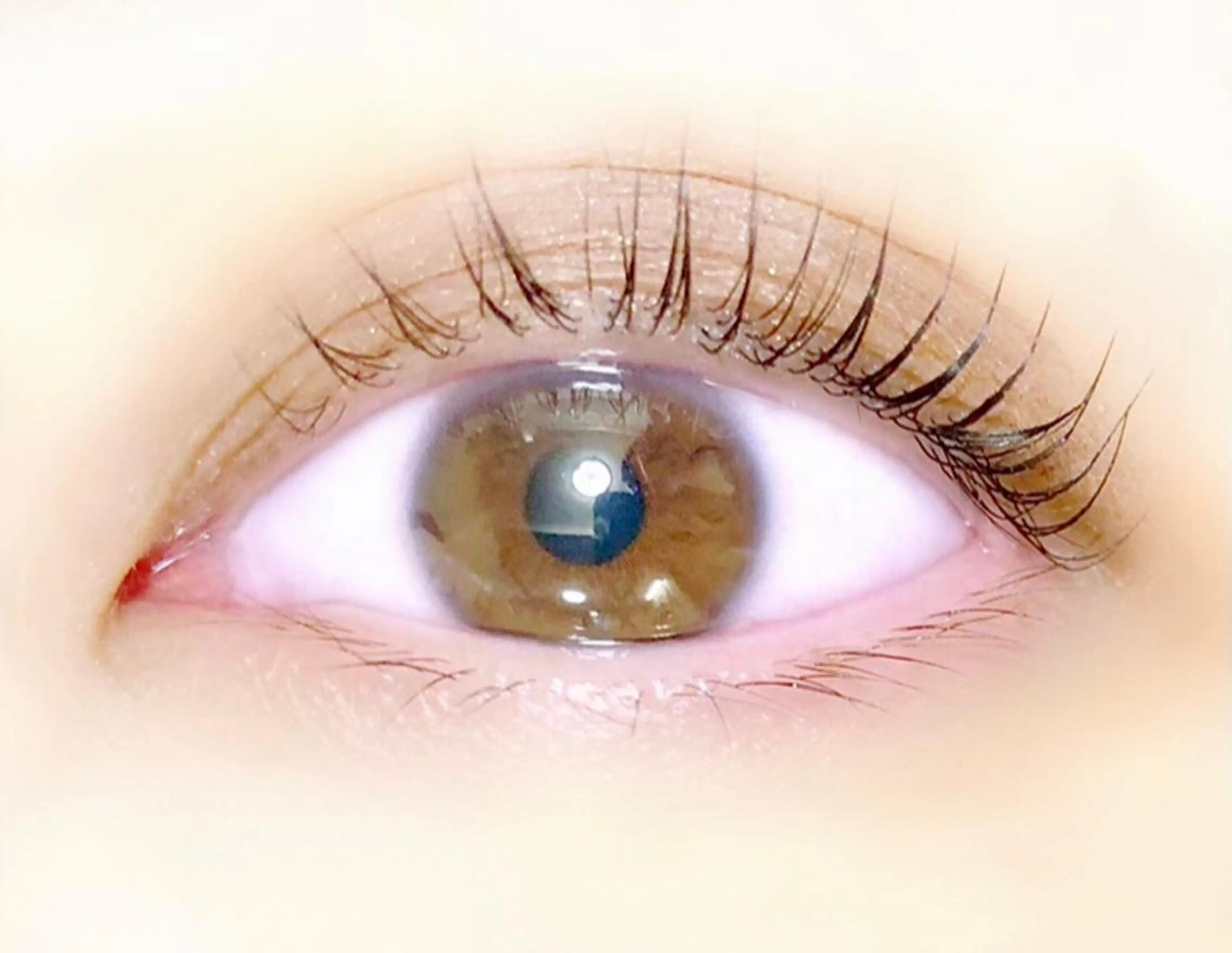 マツエク・マツパ 一重×まつ毛パーマ マツパ RAZZLE DAZZLEのマツエク・マツパデザイン