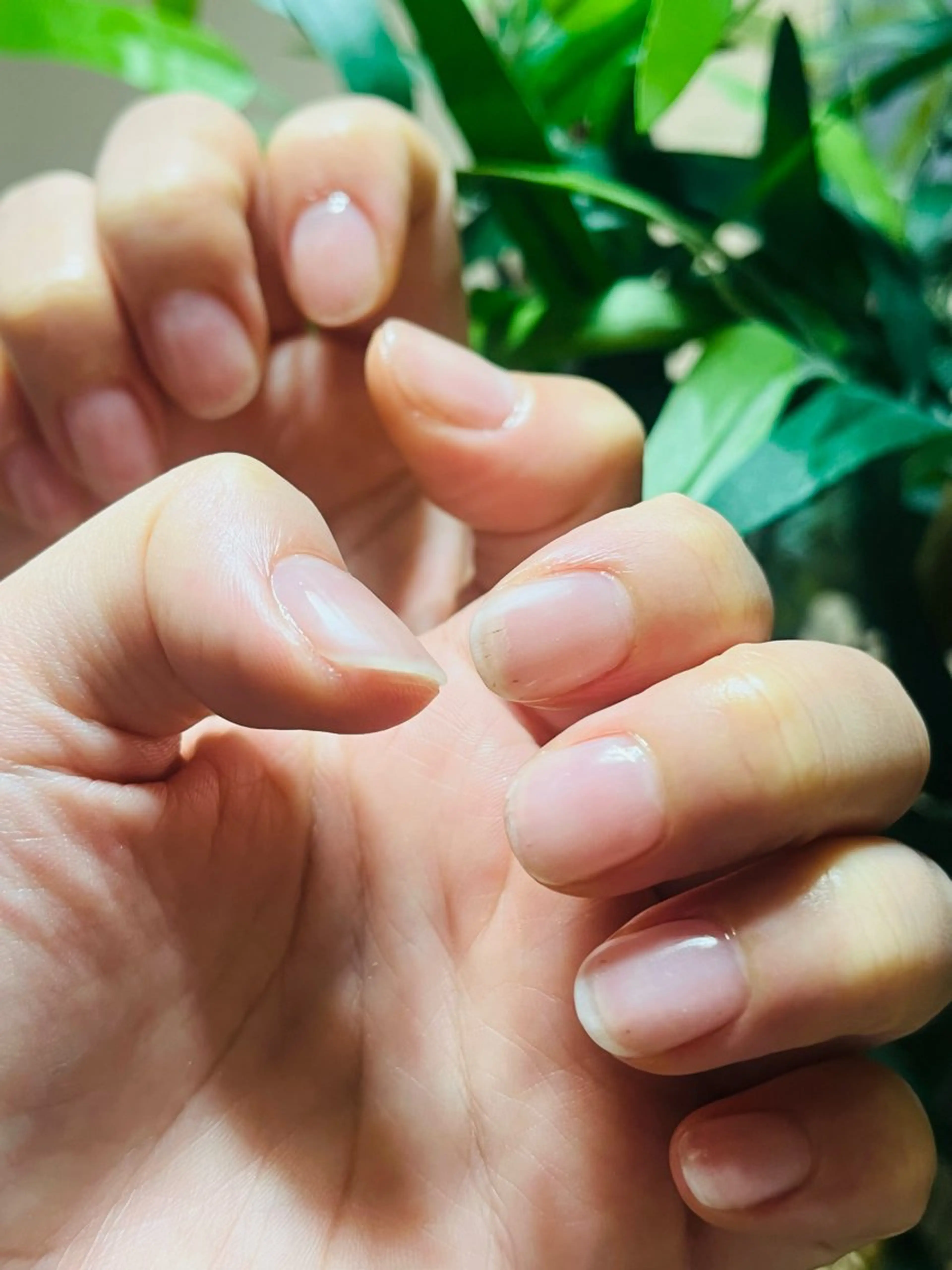 ネイル クリアネイル マットネイル ILLO-art nail所属・ILLO mayoのネイルデザイン