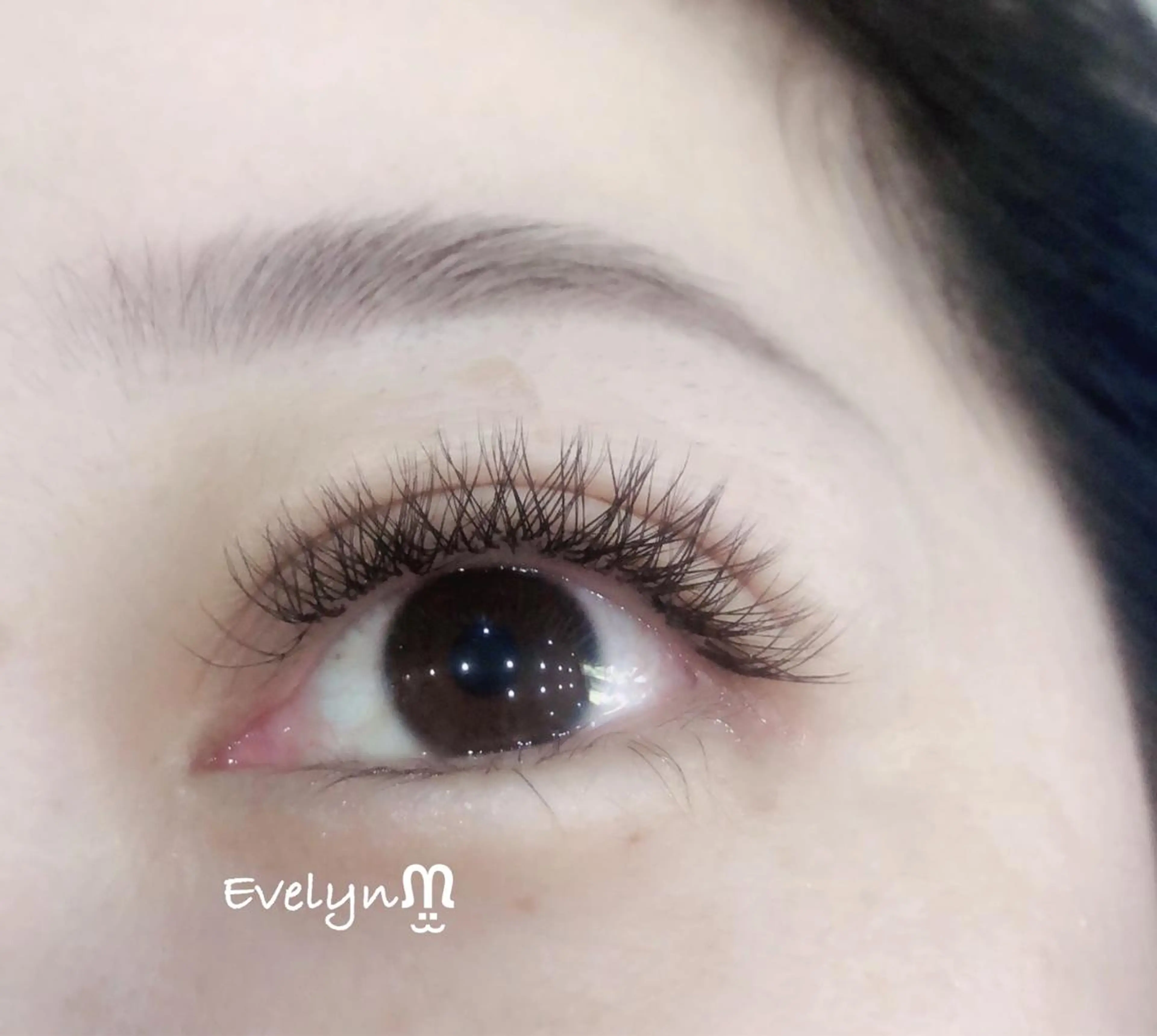 【ご新規様限定】【オフ無料♪】３つ葉ボリュームラッシュ80束の写真