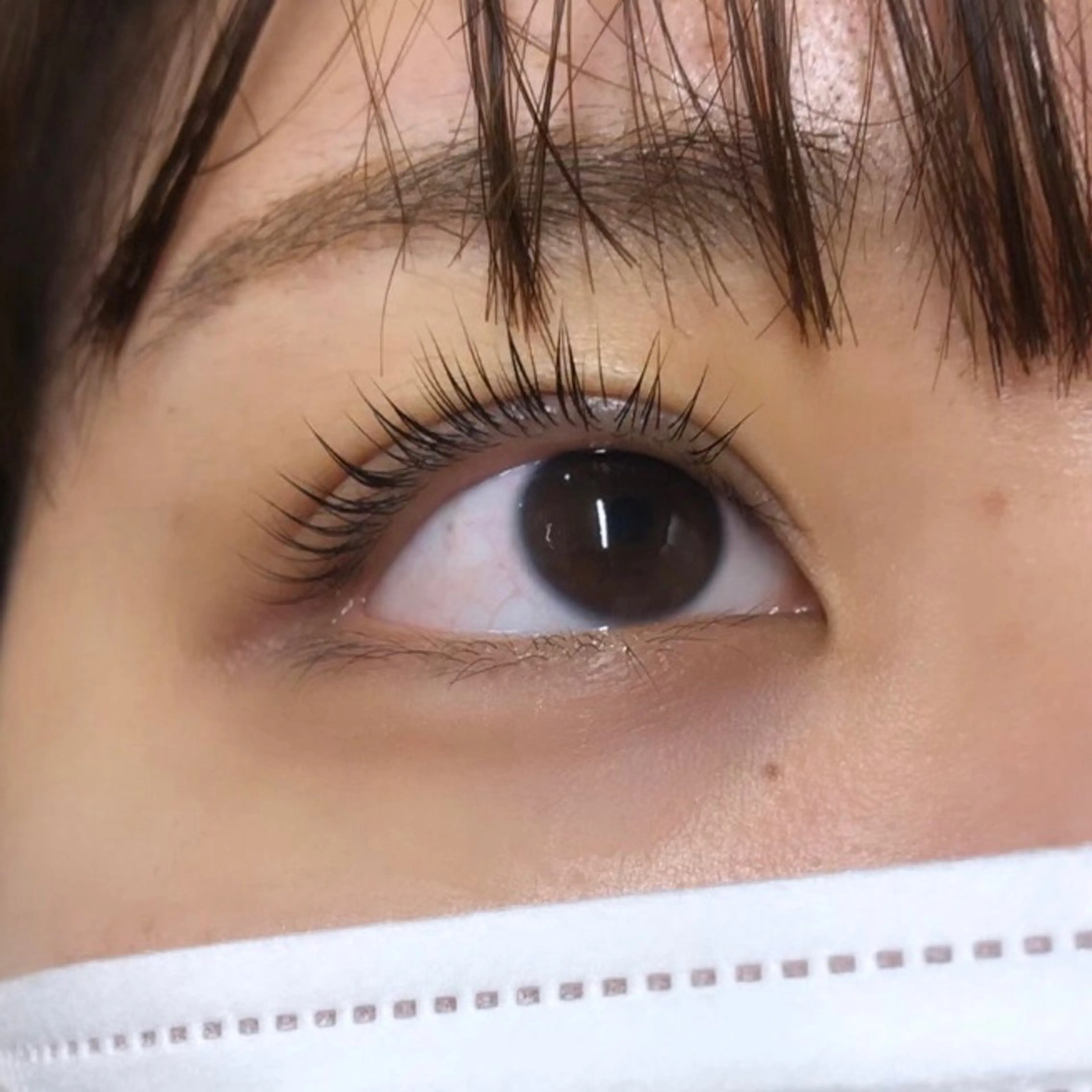 マツエク・マツパ パリジェンヌラッシュリフト プラスアイ町田店所属・プラスアイ町田 HATTORI💎のマツエク・マツパデザイン