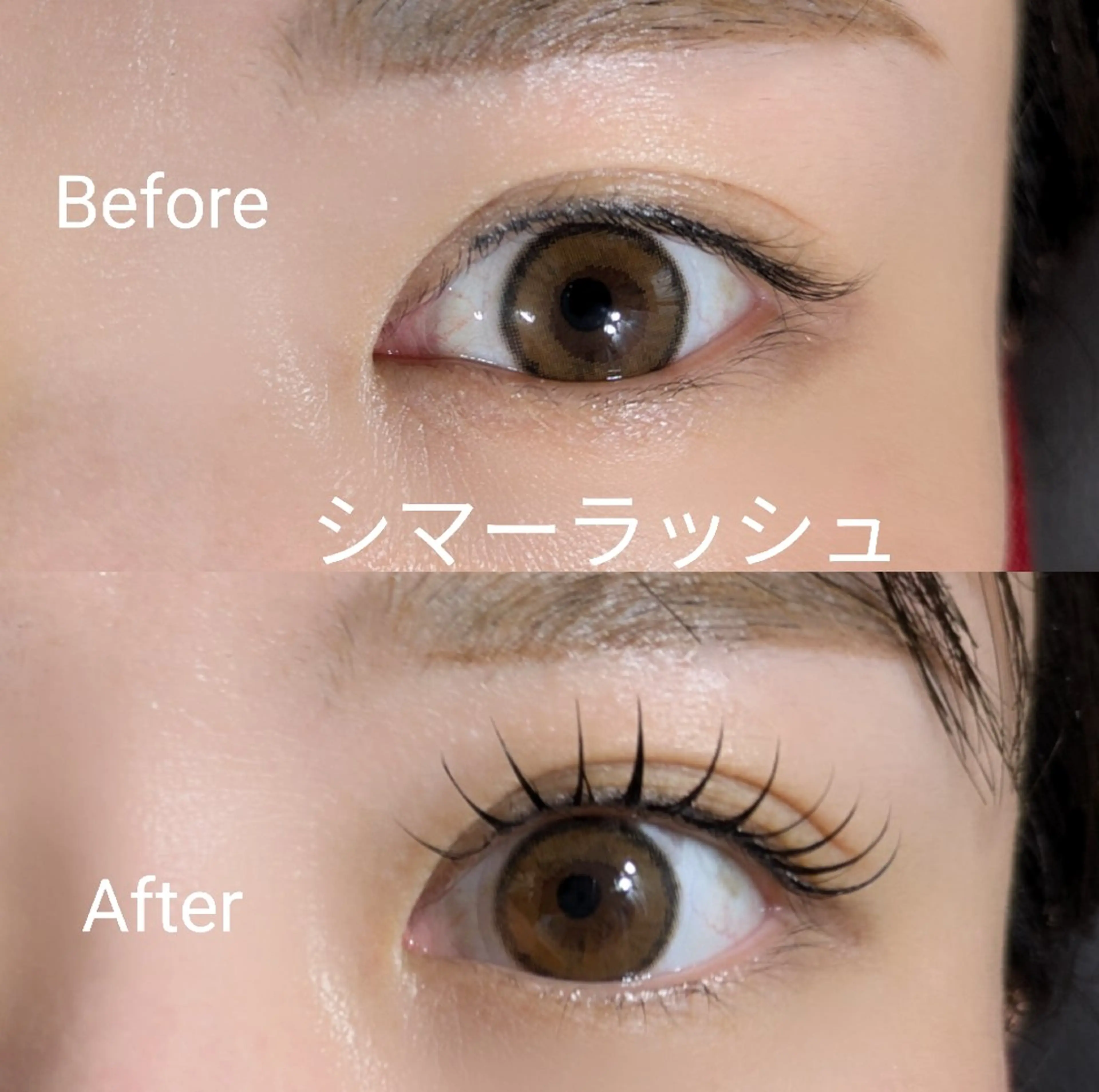 🌼【シマーラッシュ】まつげエクステ80本+まつげパーマの写真