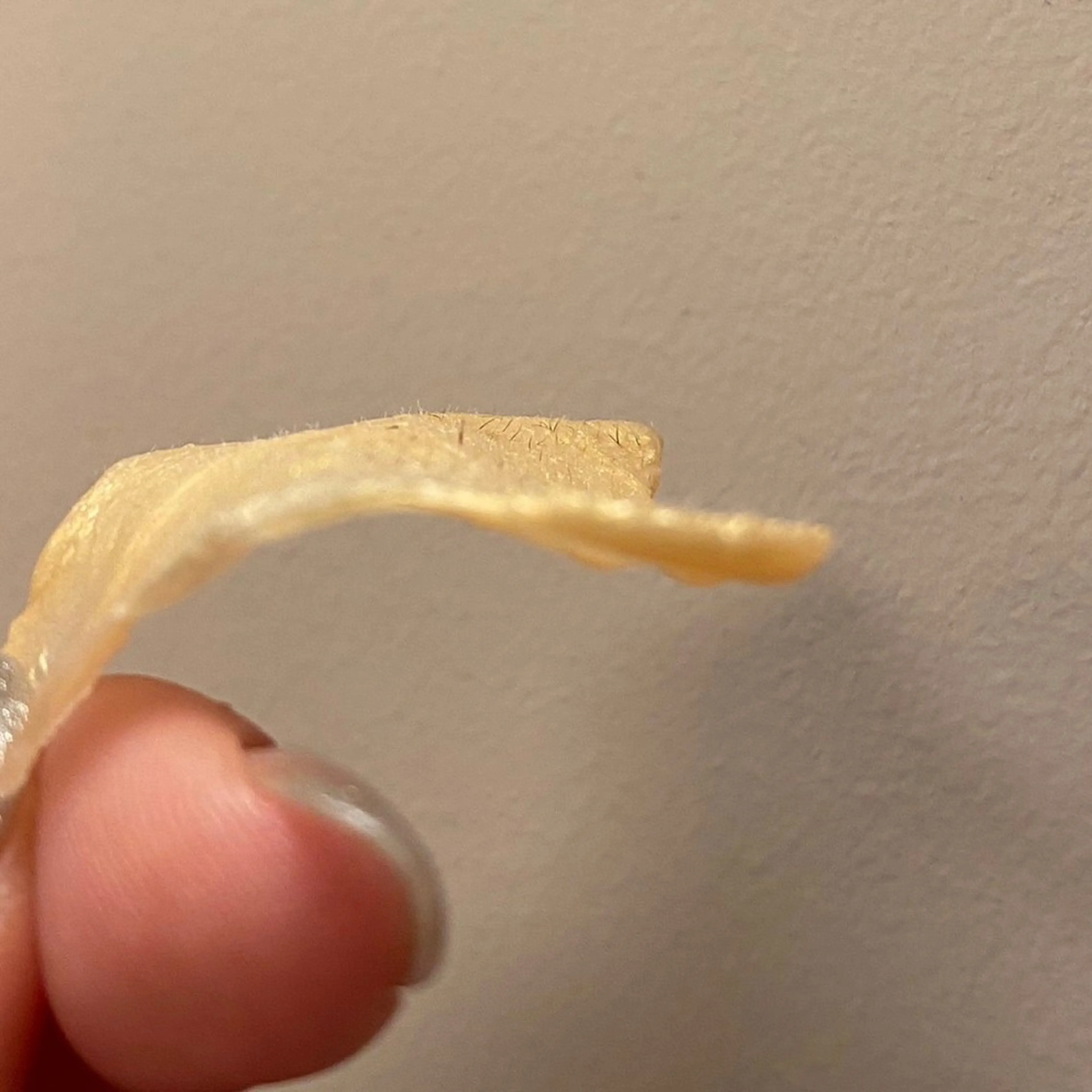 rina Amelie渋谷のマツエク・マツパデザイン