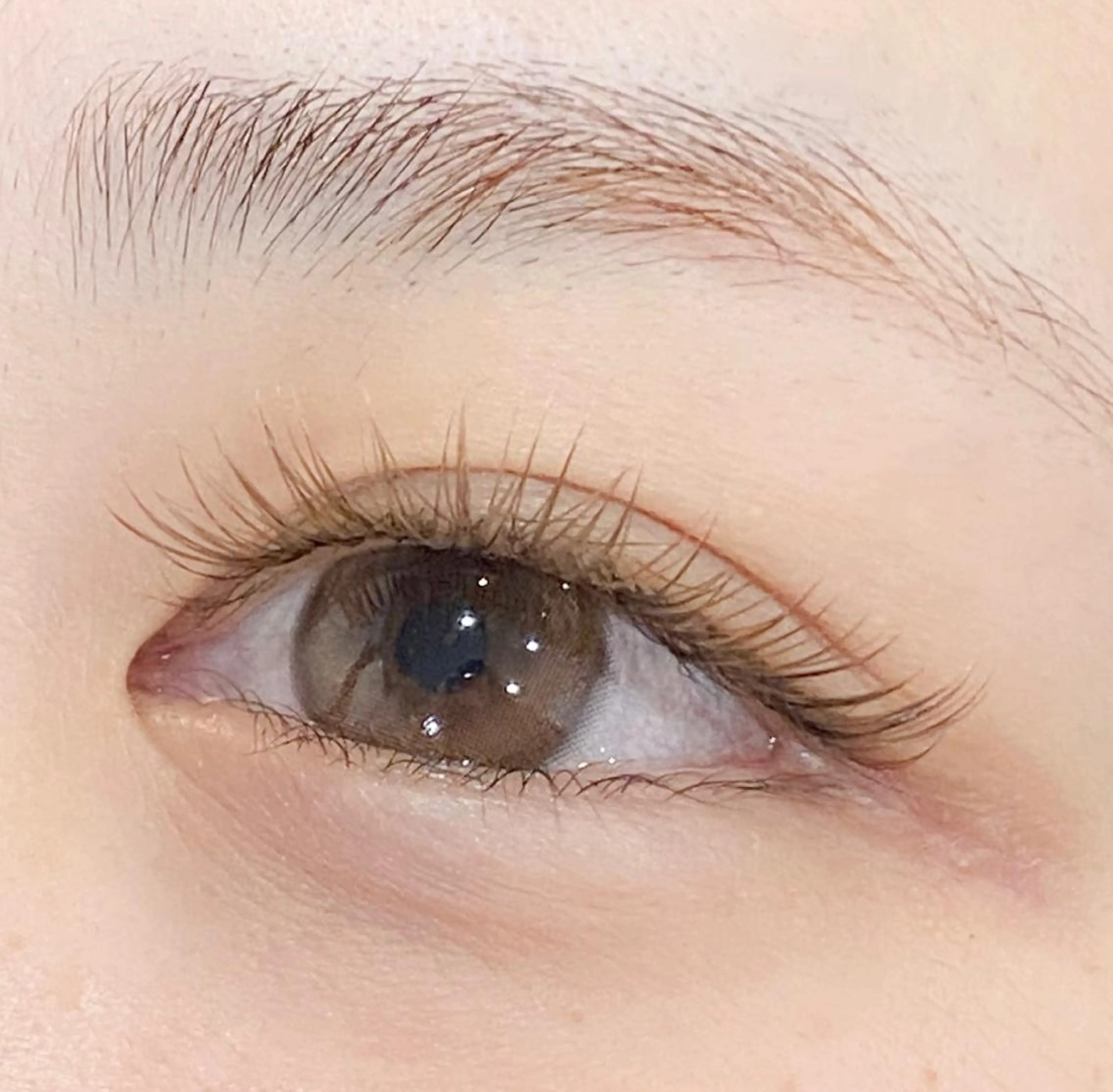 マツエク・マツパ カラーマツエク フラットラッシュ PROGRESS 龍ヶ崎 小泉🦋のマツエク・マツパデザイン